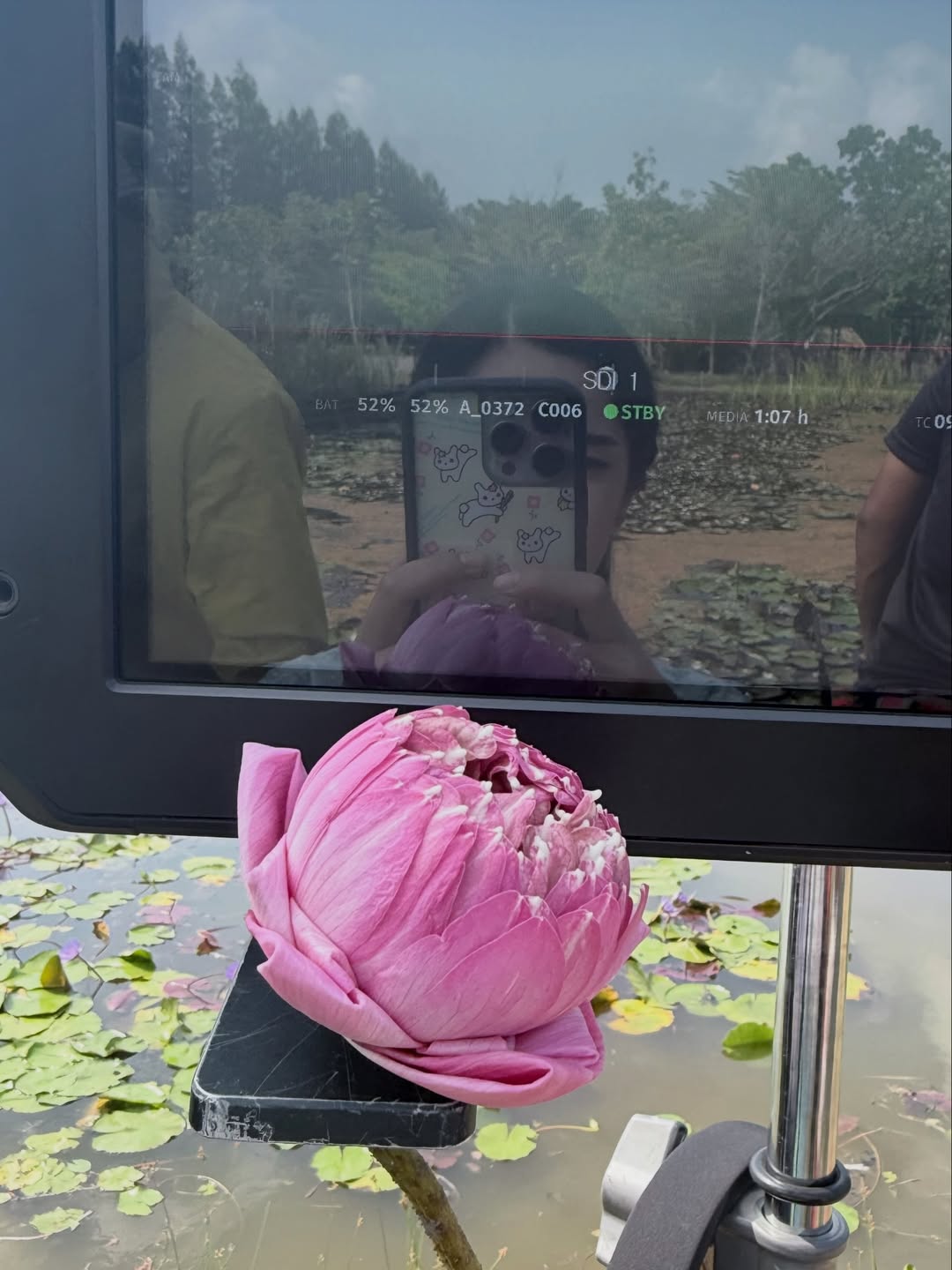 ตู - ต้นตะวัน ตันติเวชกุล