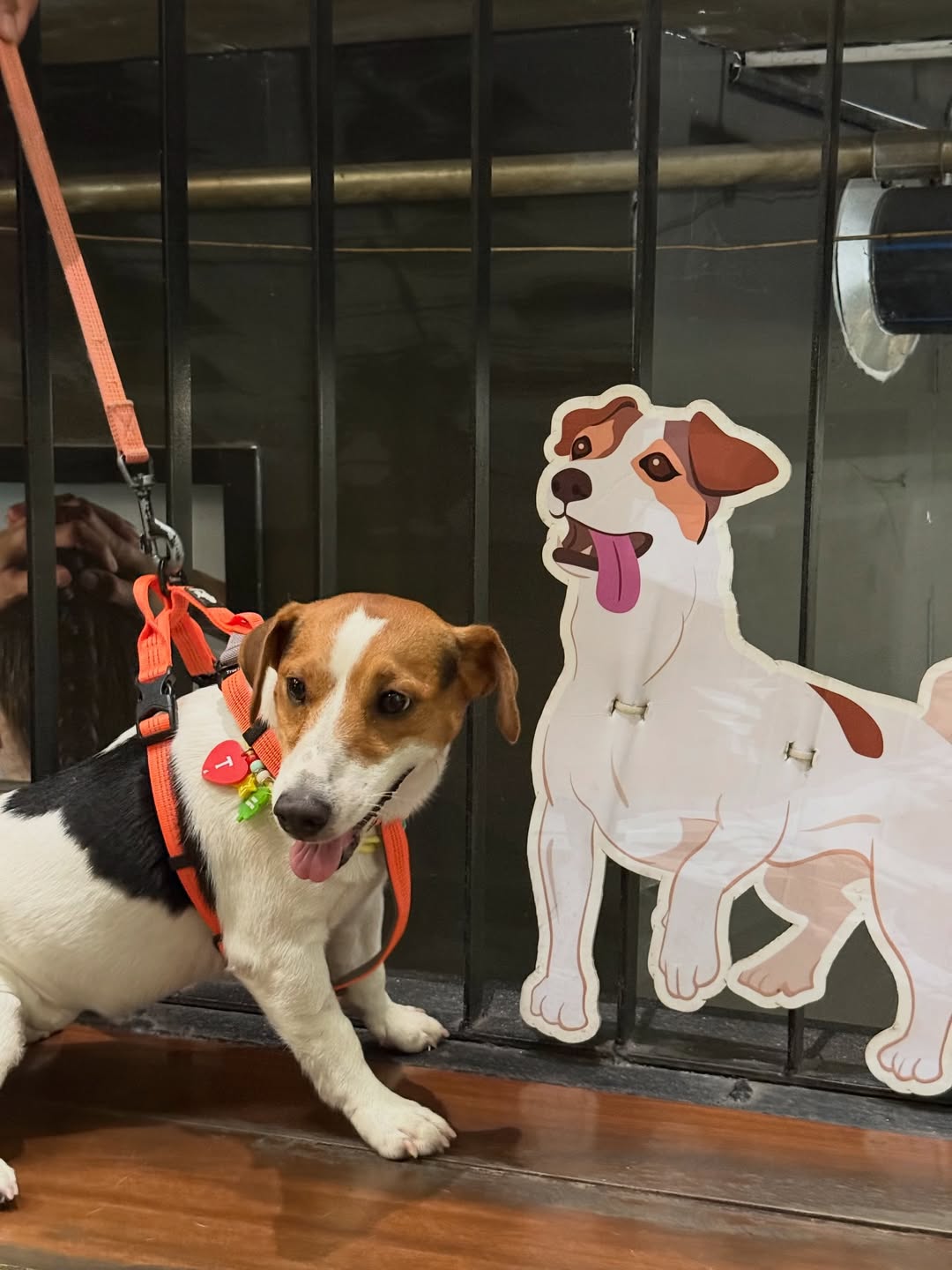 ตู - ต้นตะวัน ตันติเวชกุล