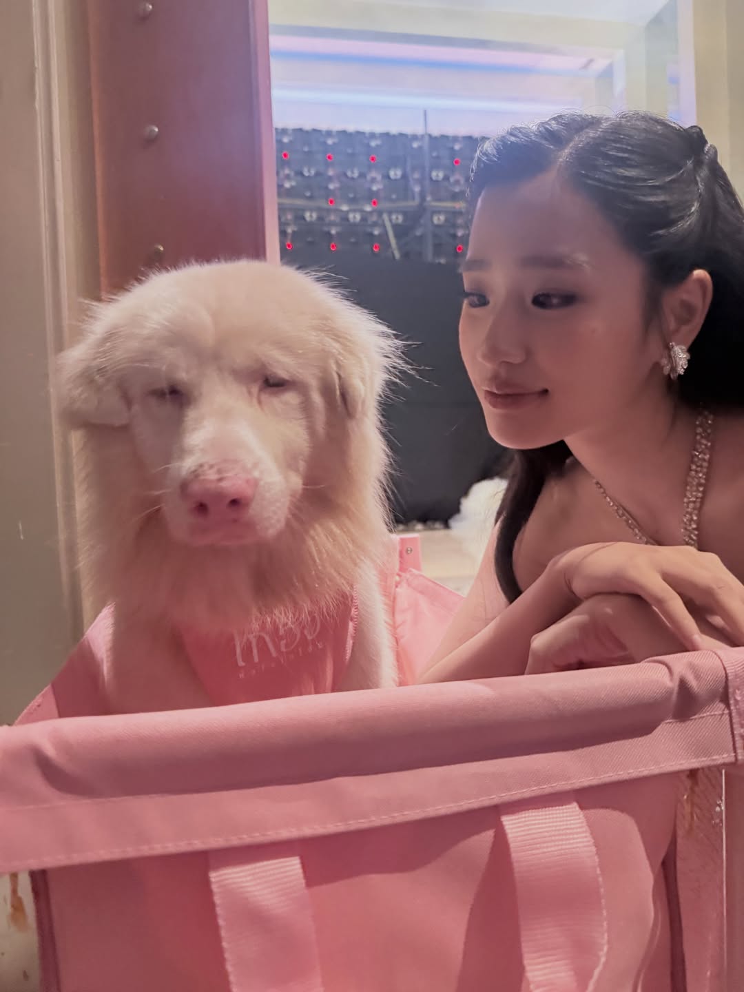 ตู - ต้นตะวัน ตันติเวชกุล