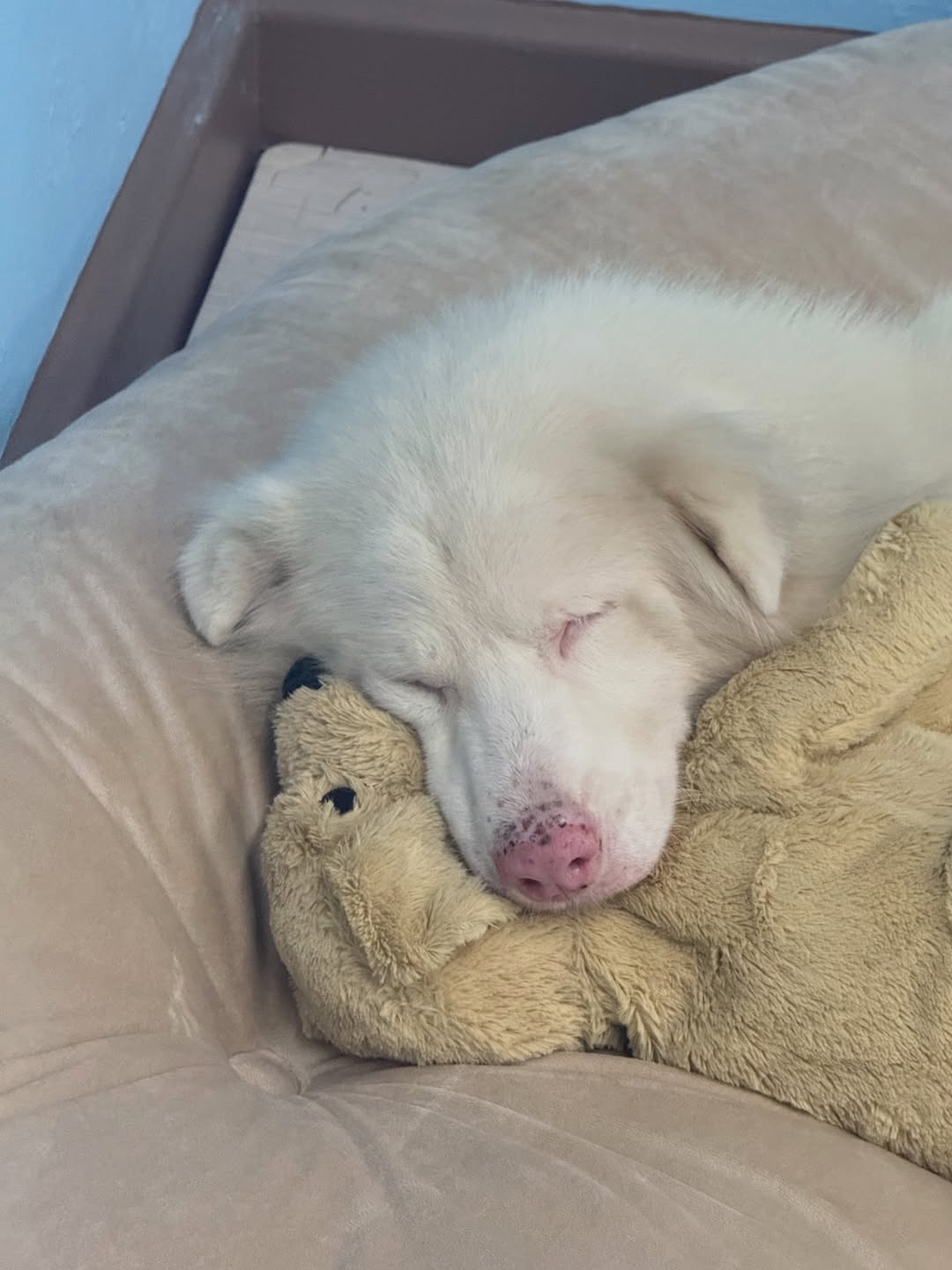 ตู - ต้นตะวัน ตันติเวชกุล