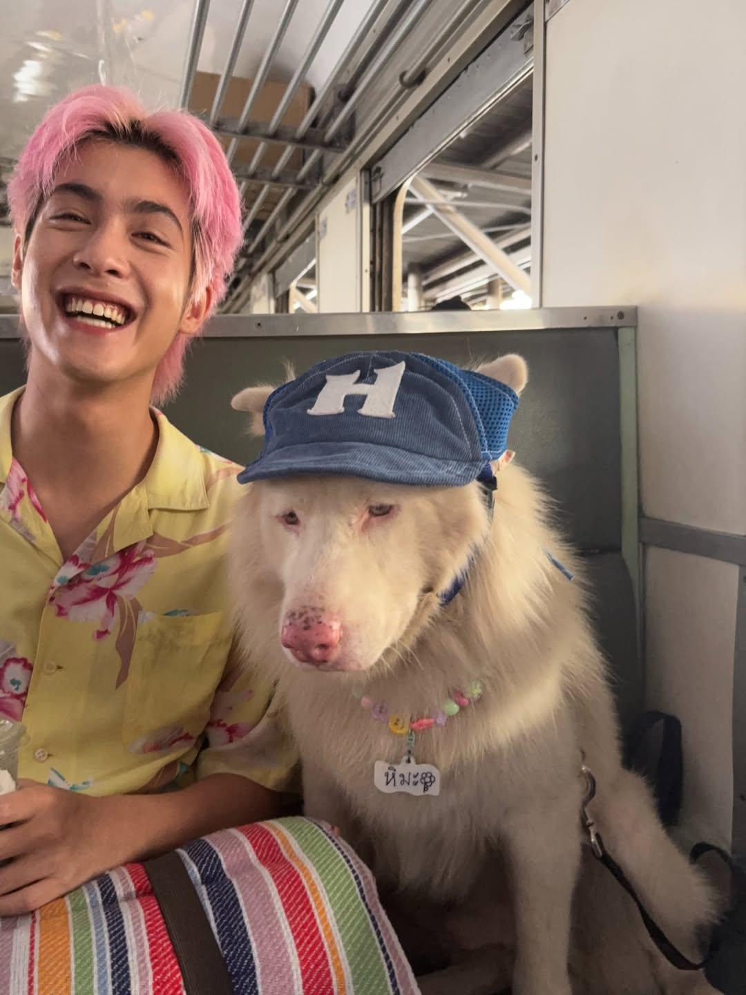 ตู - ต้นตะวัน ตันติเวชกุล