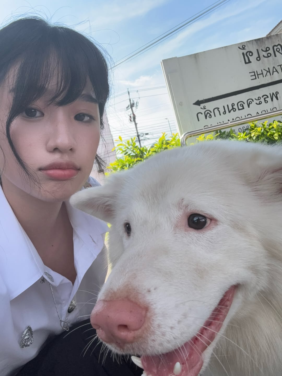 ตู - ต้นตะวัน ตันติเวชกุล