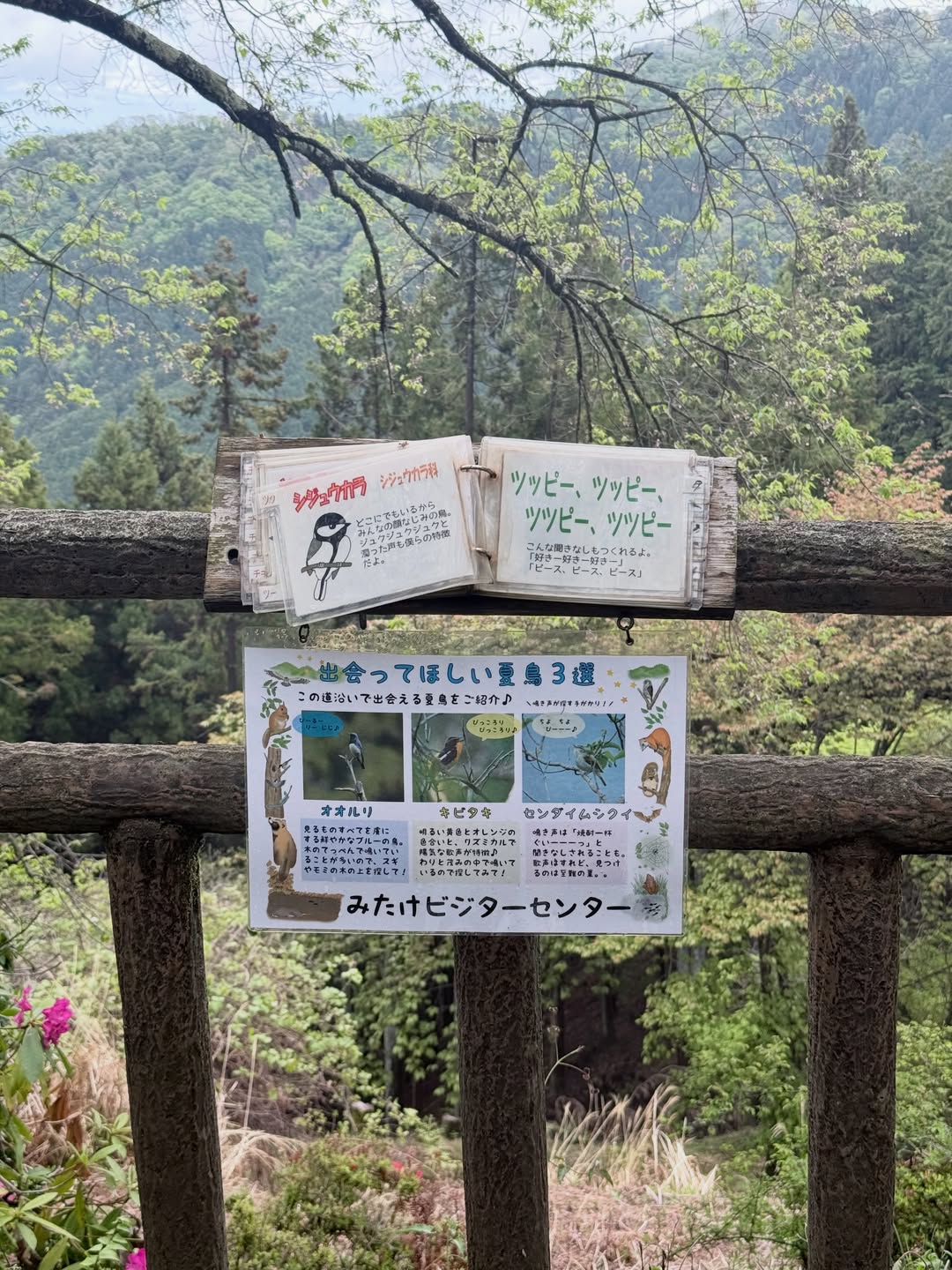 ตู - ต้นตะวัน ตันติเวชกุล
