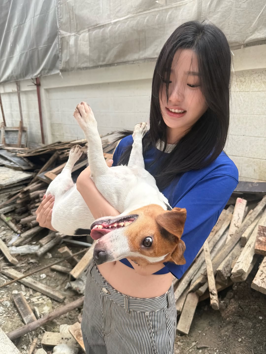 ตู - ต้นตะวัน ตันติเวชกุล