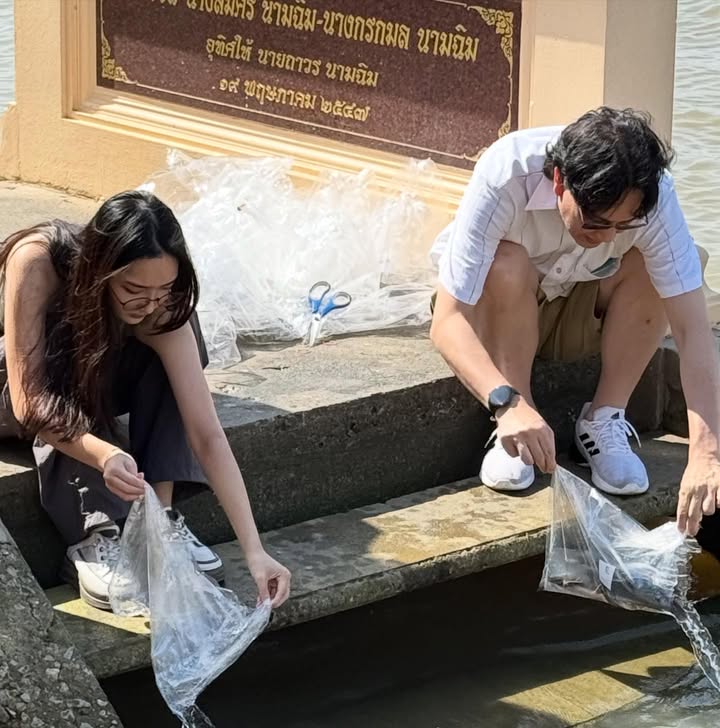 กวาง - กมลชนก เขมะโยธิน