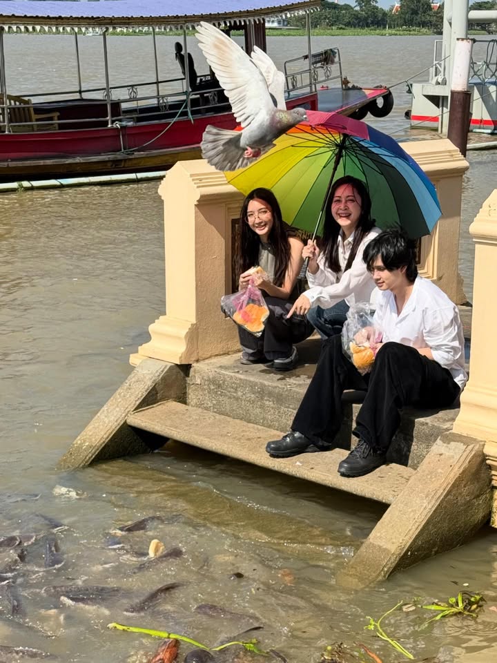 กวาง - กมลชนก เขมะโยธิน