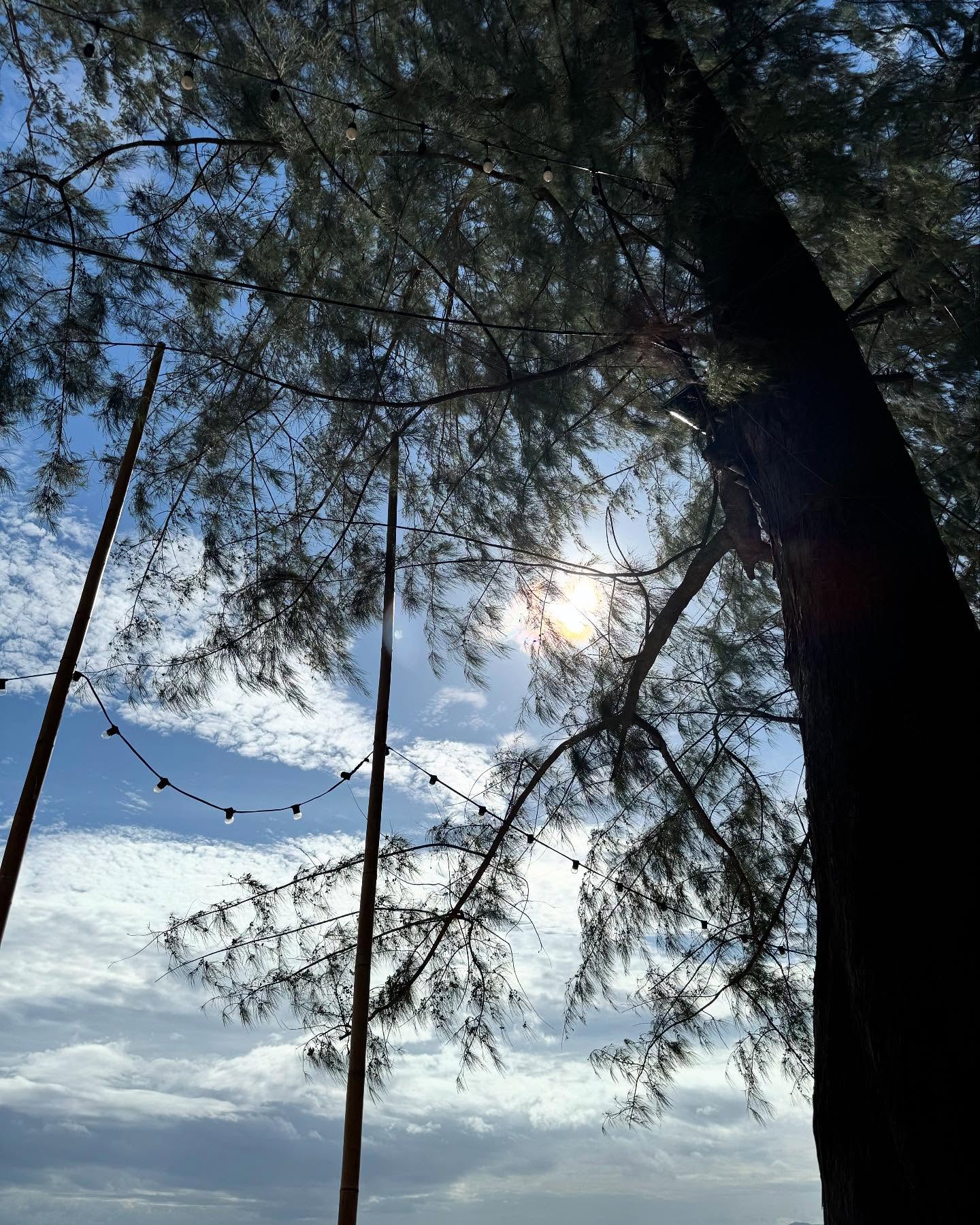 อินดี้ - อินทัช เหลียวรักวงศ์