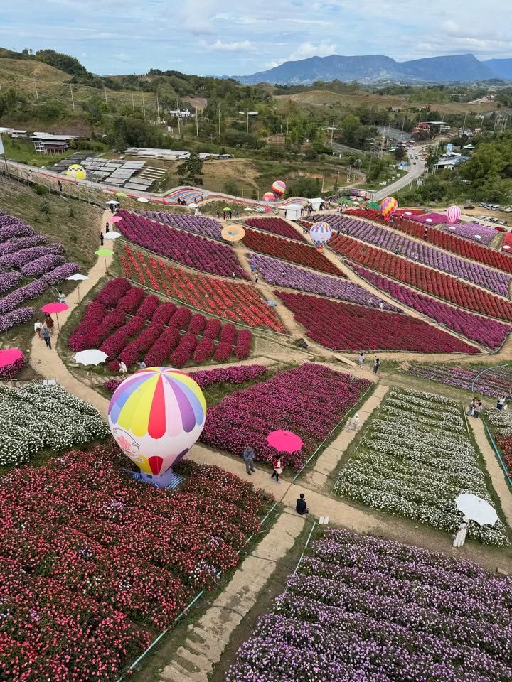 อินดี้ - อินทัช เหลียวรักวงศ์