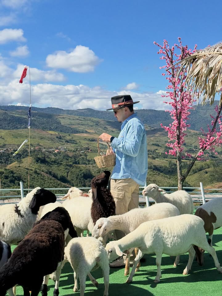 อินดี้ - อินทัช เหลียวรักวงศ์