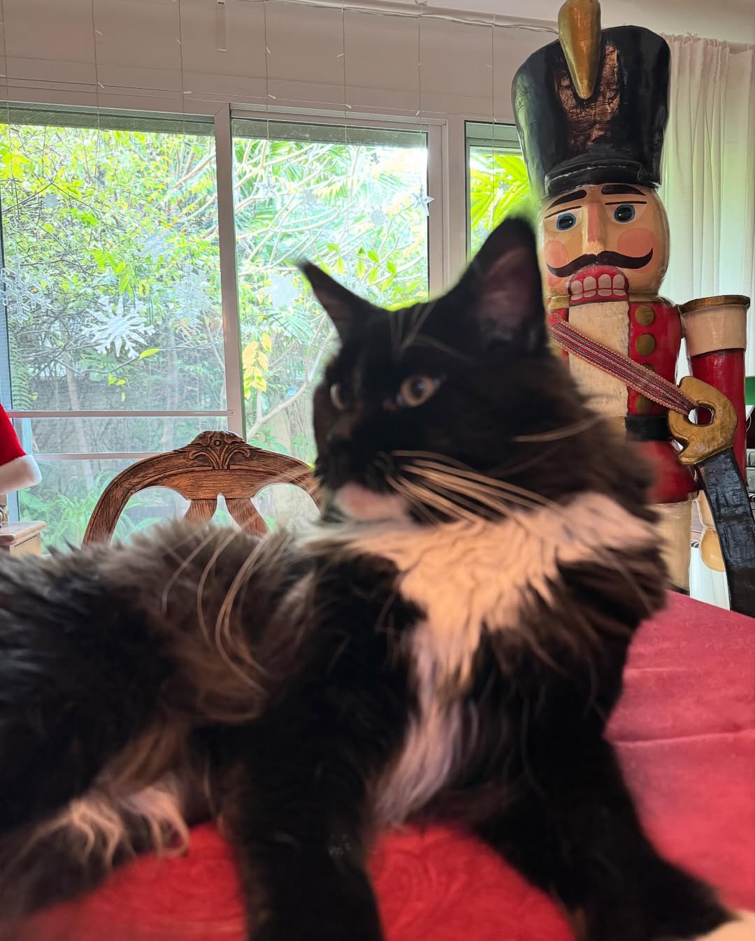 อินดี้ - อินทัช เหลียวรักวงศ์