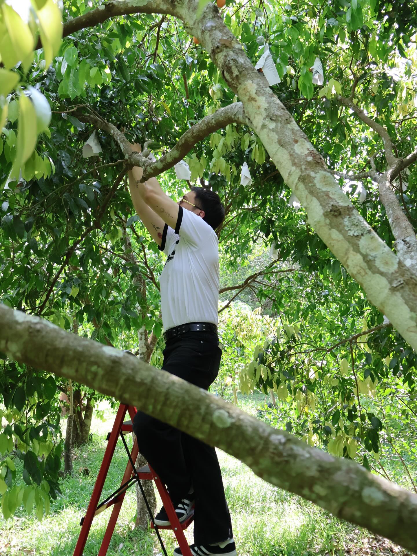 อินดี้ - อินทัช เหลียวรักวงศ์