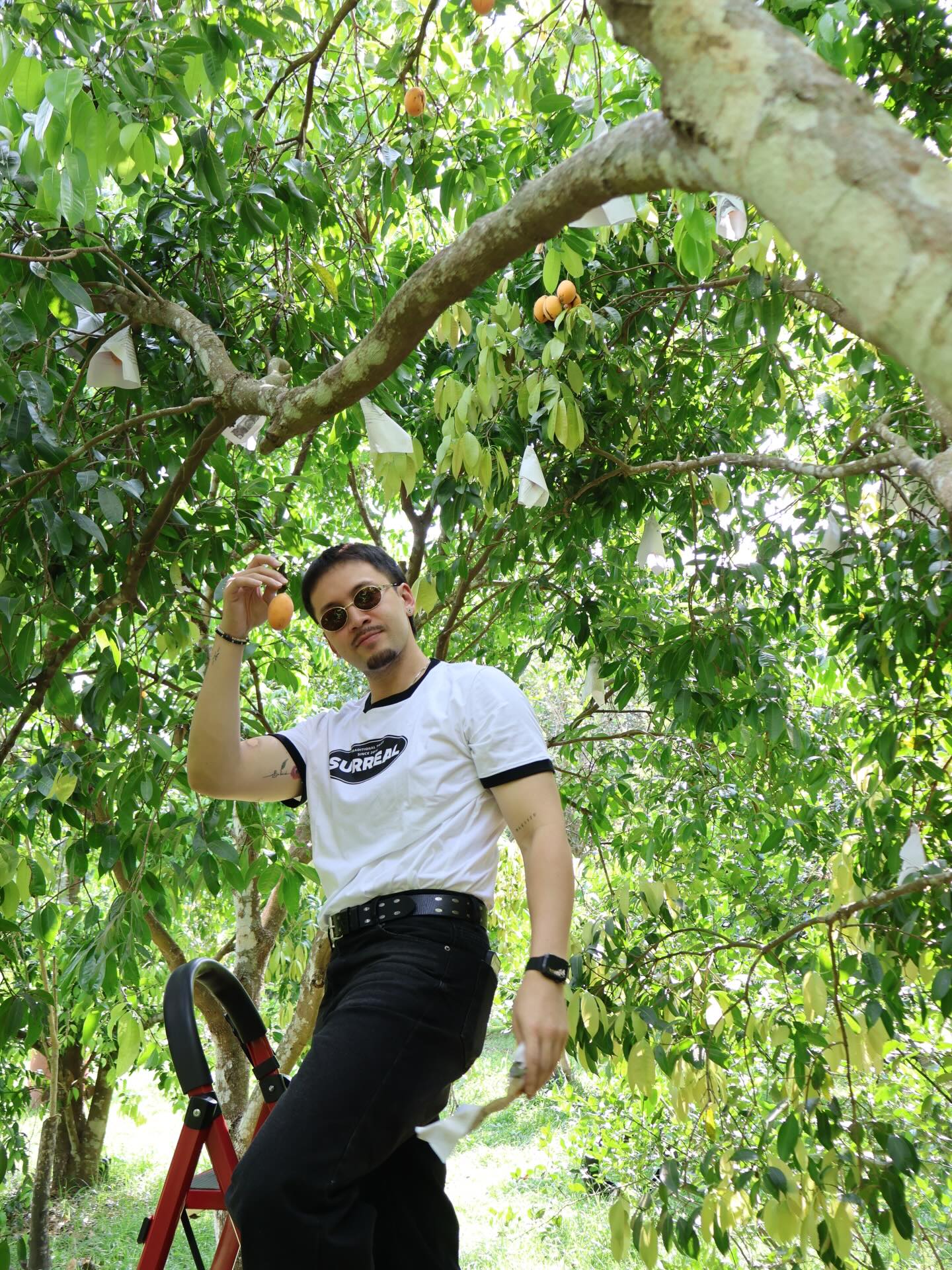 อินดี้ - อินทัช เหลียวรักวงศ์