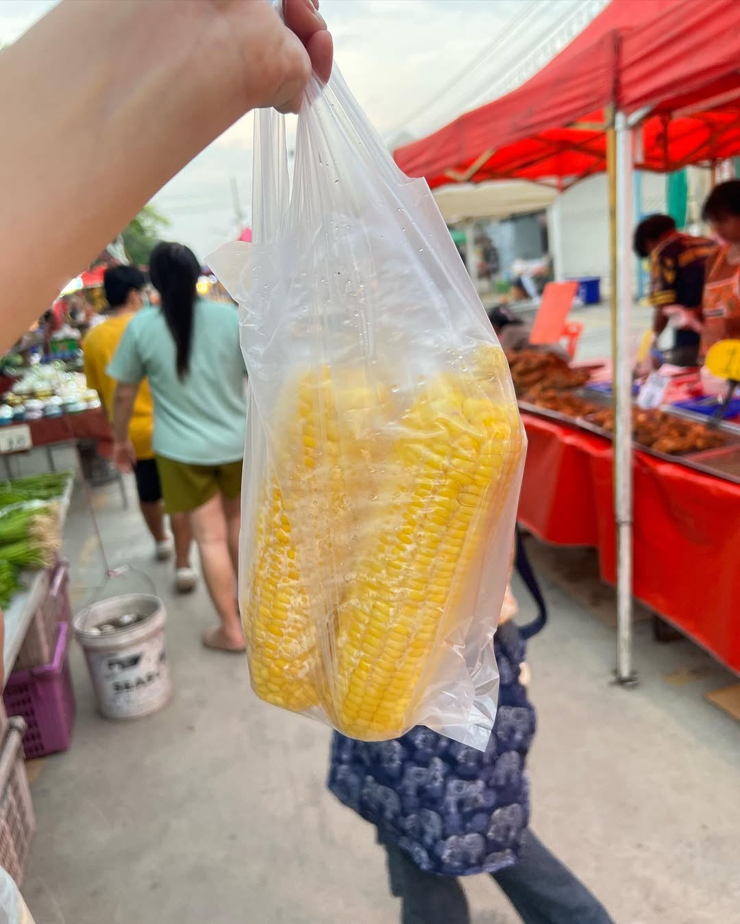 ณิชา - ณัฏฐณิชา ดังวัธนาวณิชย์