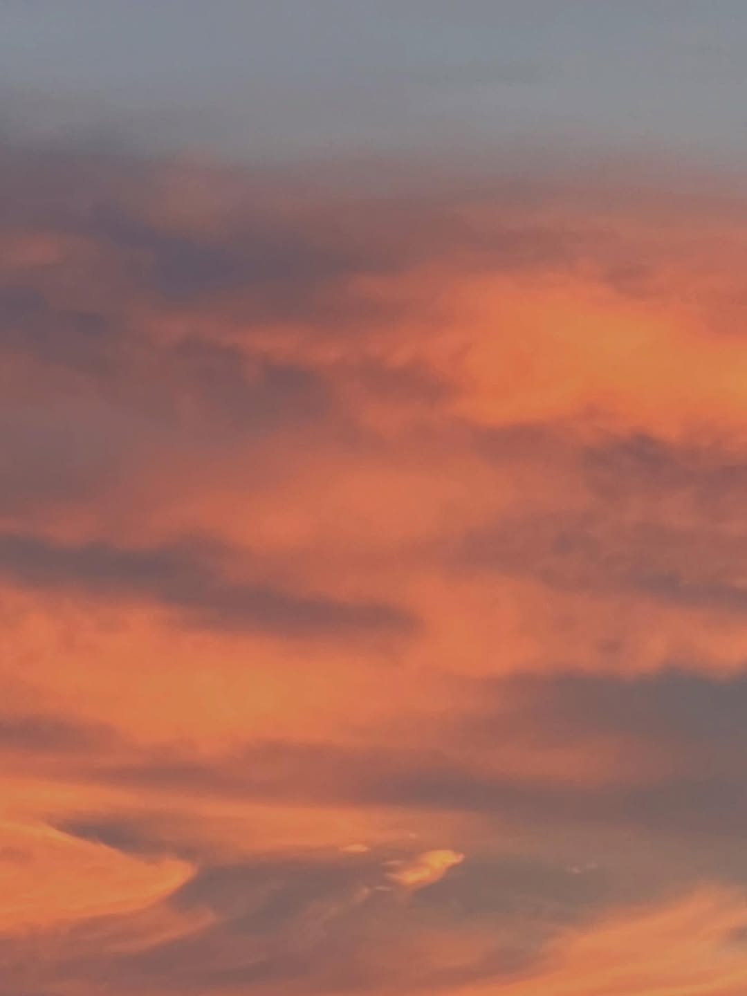 ณิชา - ณัฏฐณิชา ดังวัธนาวณิชย์