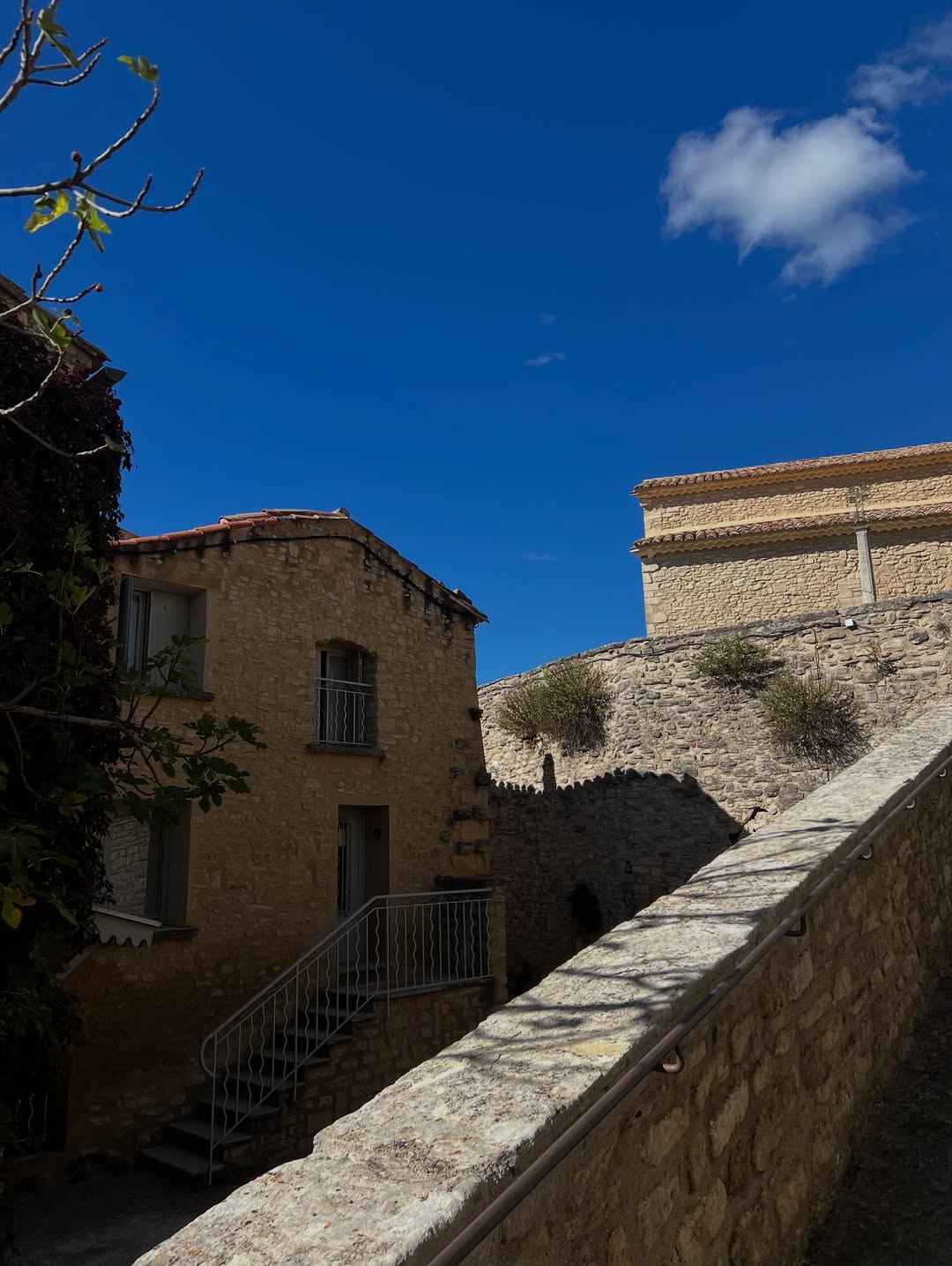 ณิชา - ณัฏฐณิชา ดังวัธนาวณิชย์