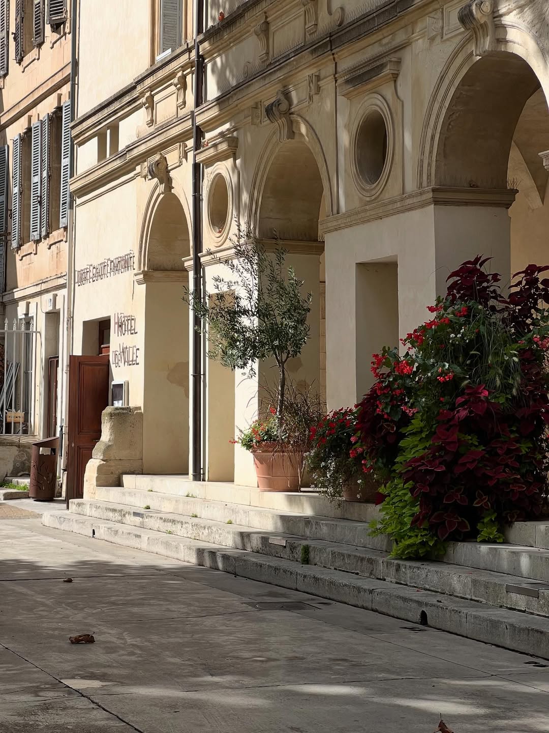 ณิชา - ณัฏฐณิชา ดังวัธนาวณิชย์