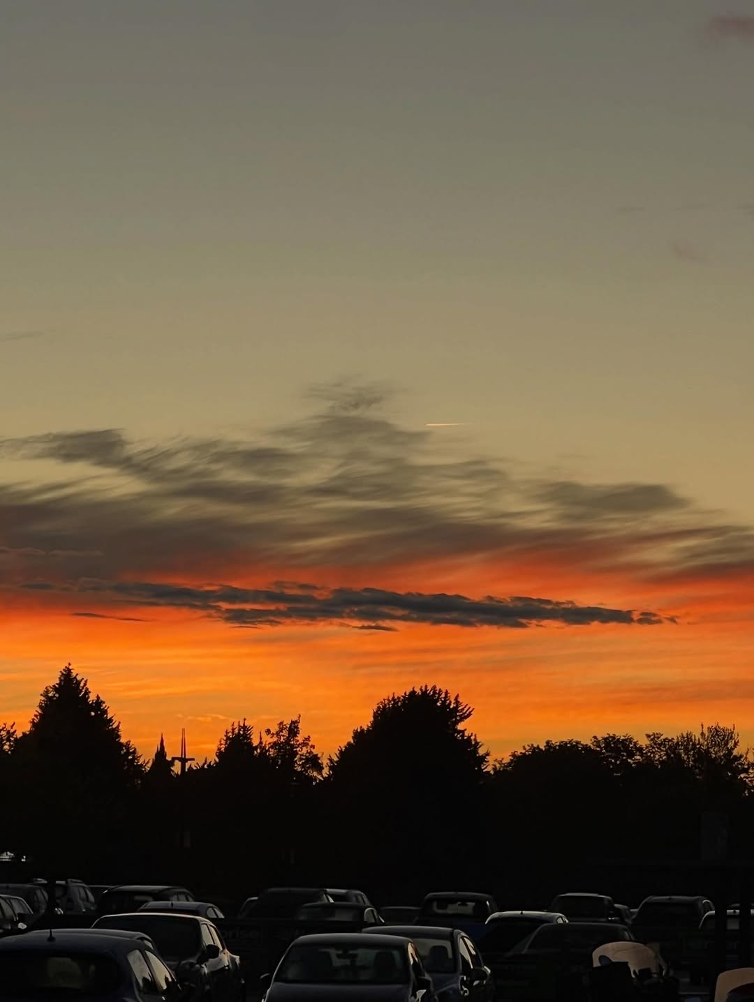 ณิชา - ณัฏฐณิชา ดังวัธนาวณิชย์