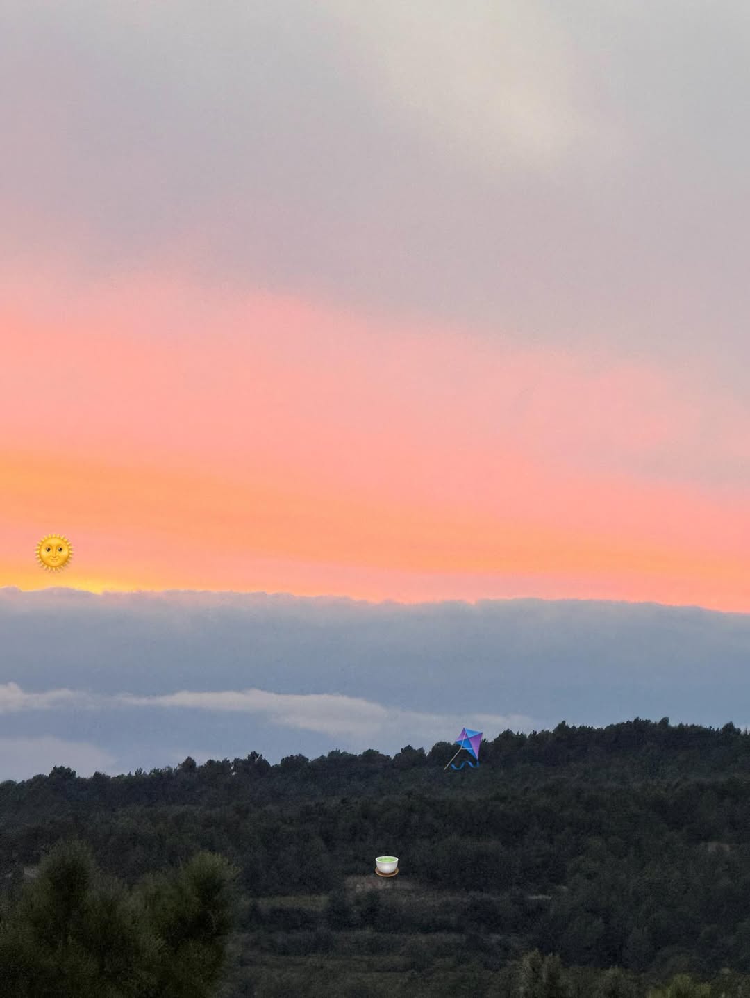 ณิชา - ณัฏฐณิชา ดังวัธนาวณิชย์