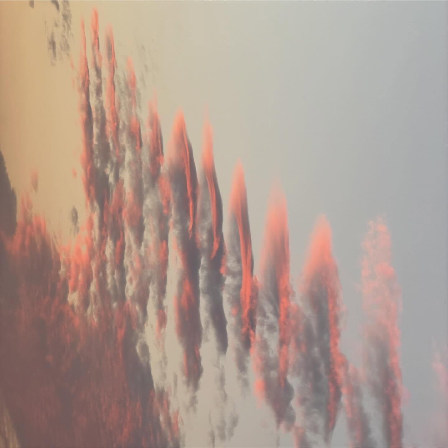 ณิชา - ณัฏฐณิชา ดังวัธนาวณิชย์