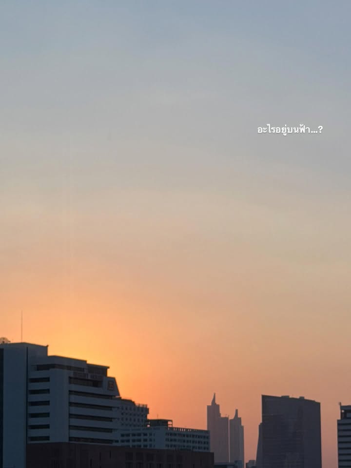 ณิชา - ณัฏฐณิชา ดังวัธนาวณิชย์