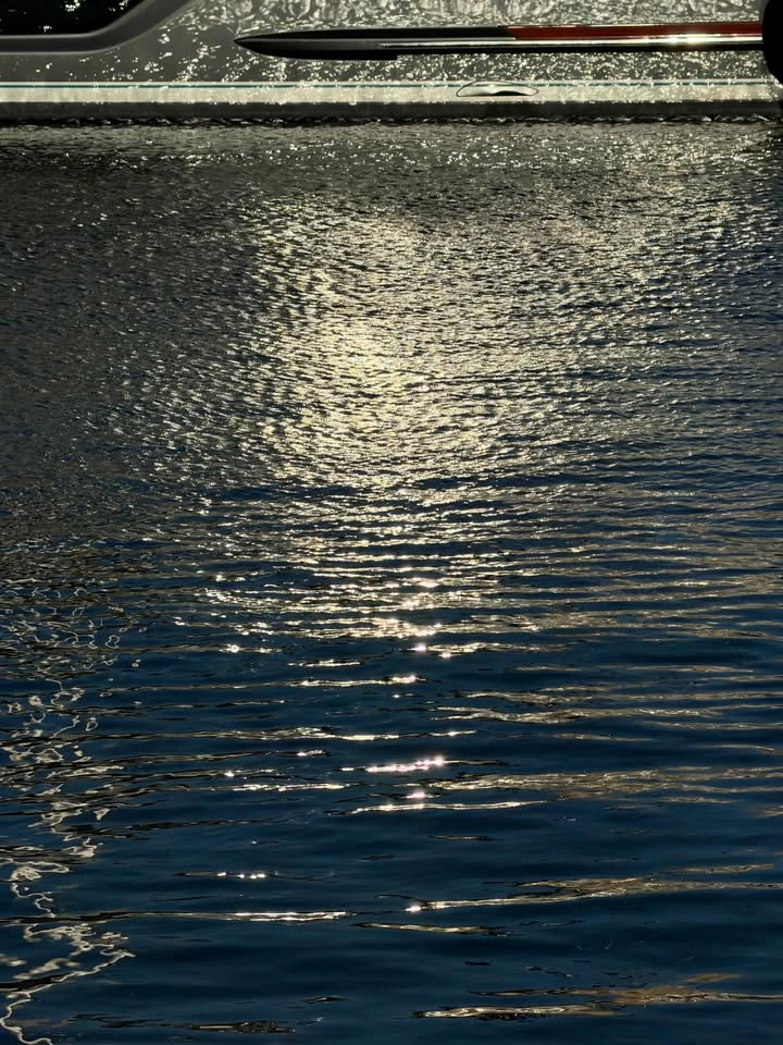 ณิชา - ณัฏฐณิชา ดังวัธนาวณิชย์