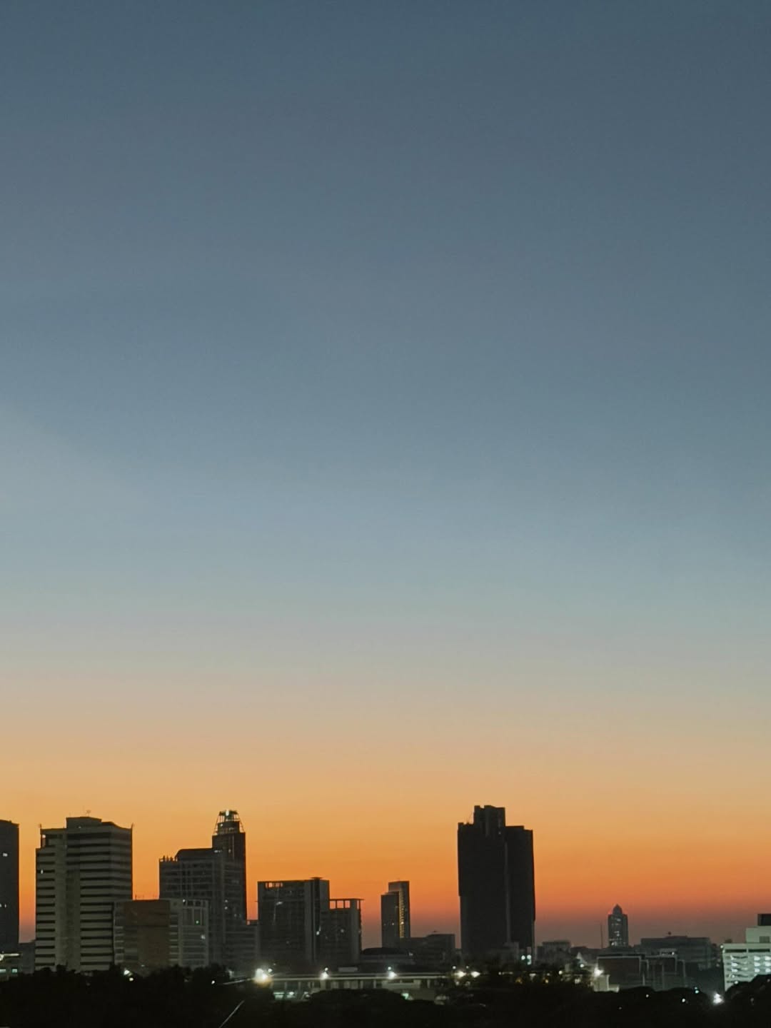 ณิชา - ณัฏฐณิชา ดังวัธนาวณิชย์