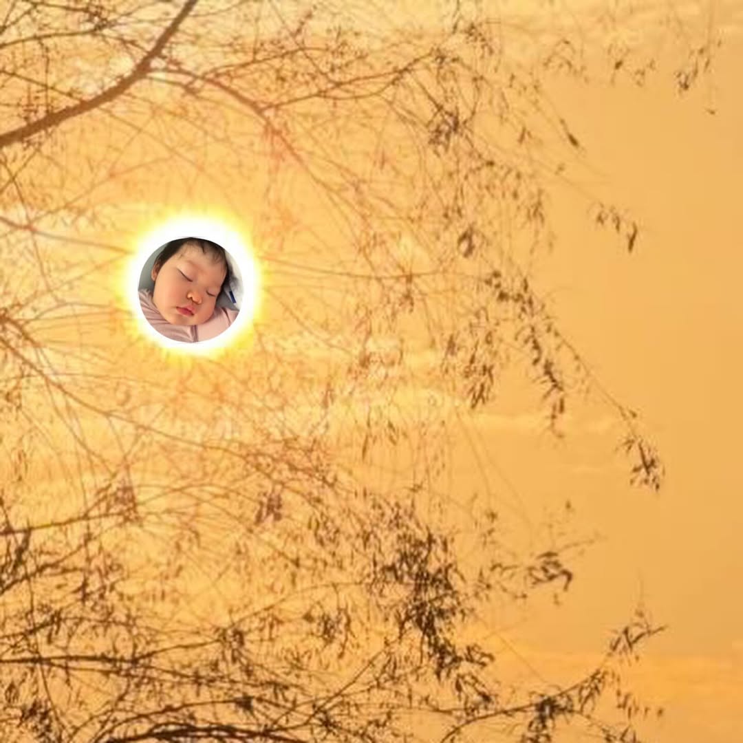 ณิชา - ณัฏฐณิชา ดังวัธนาวณิชย์