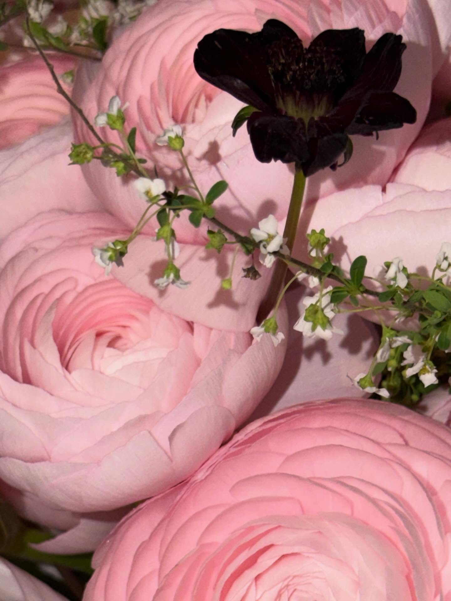 ณิชา - ณัฏฐณิชา ดังวัธนาวณิชย์