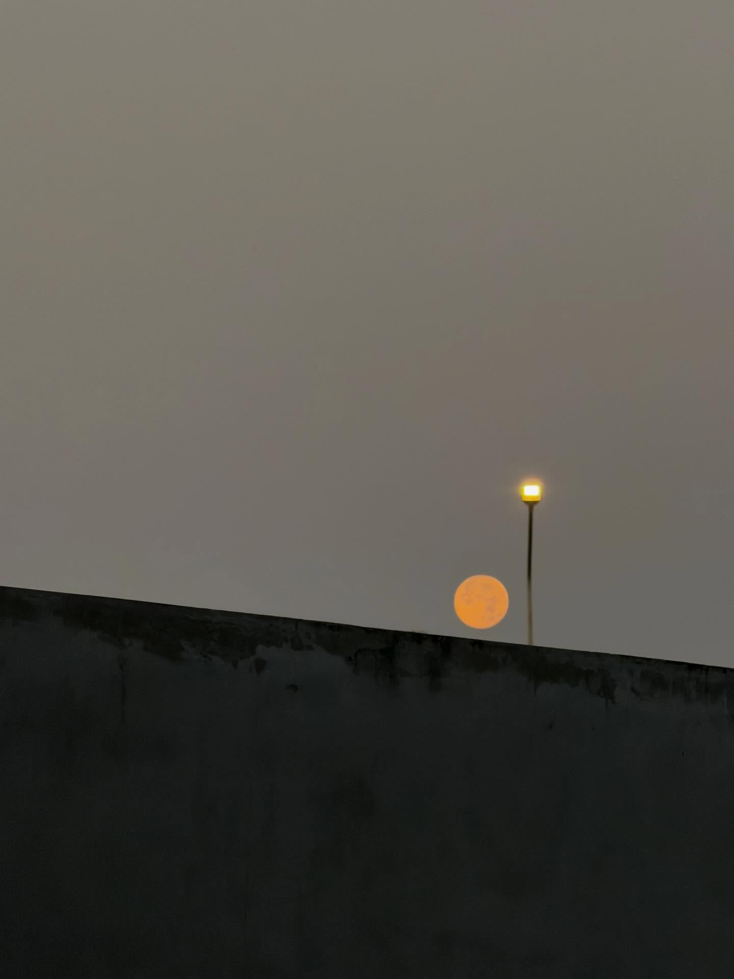 ณิชา - ณัฏฐณิชา ดังวัธนาวณิชย์