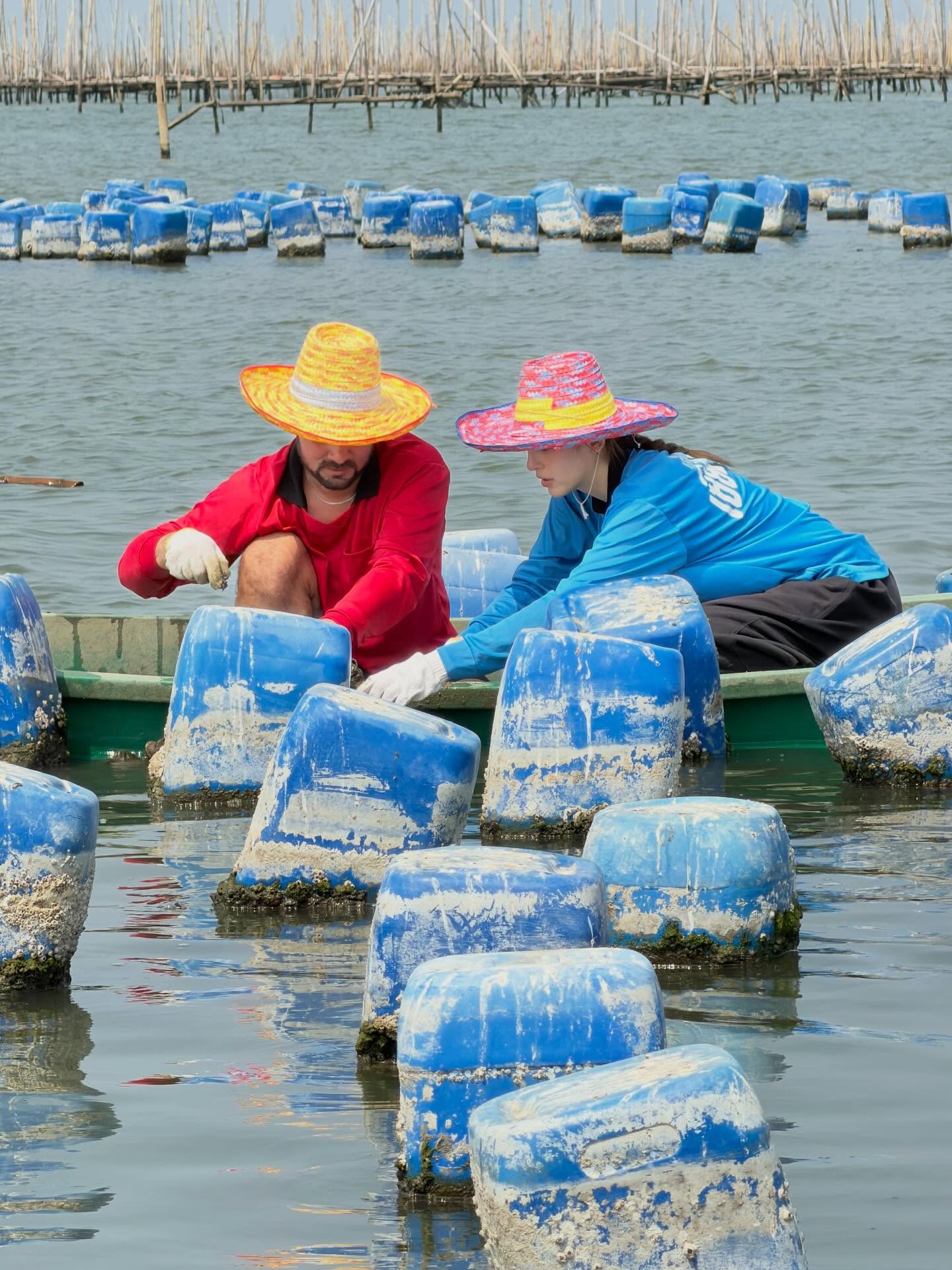 ณิชา - ณัฏฐณิชา ดังวัธนาวณิชย์