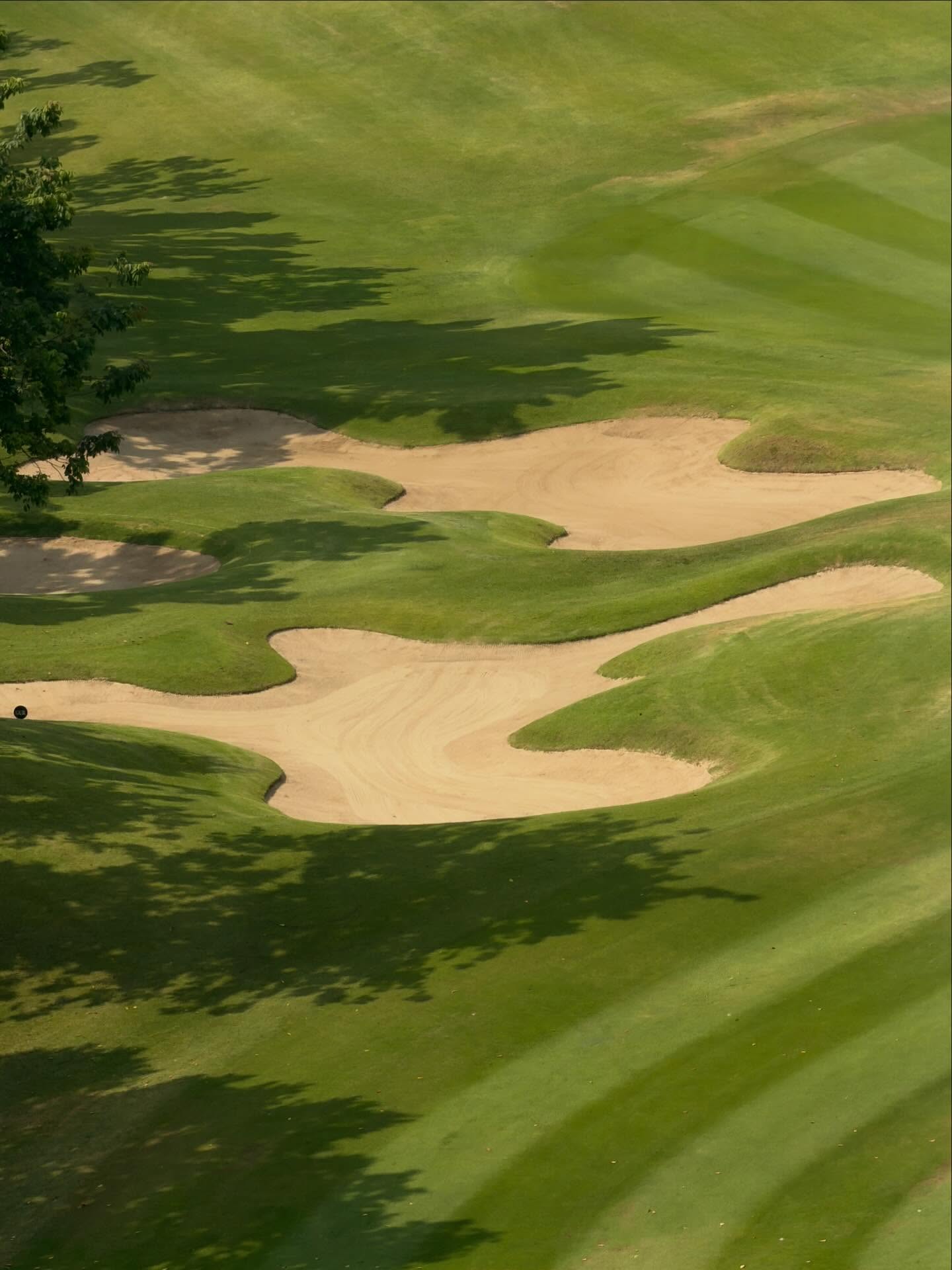 ณิชา - ณัฏฐณิชา ดังวัธนาวณิชย์