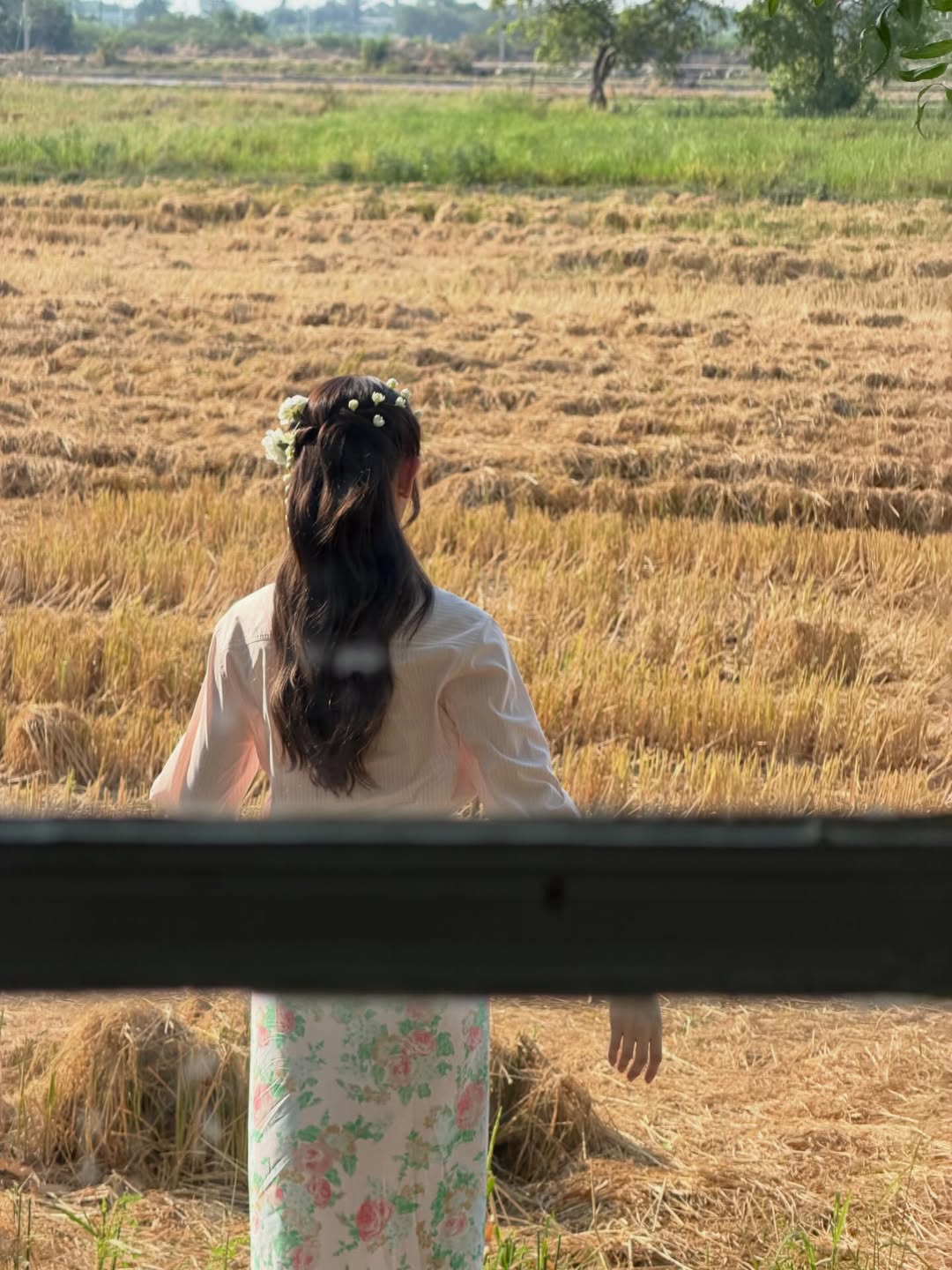 ณิชา - ณัฏฐณิชา ดังวัธนาวณิชย์