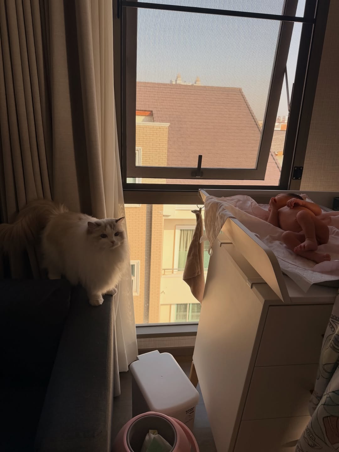 ปาย - สิตางศุ์ ปุณภพ