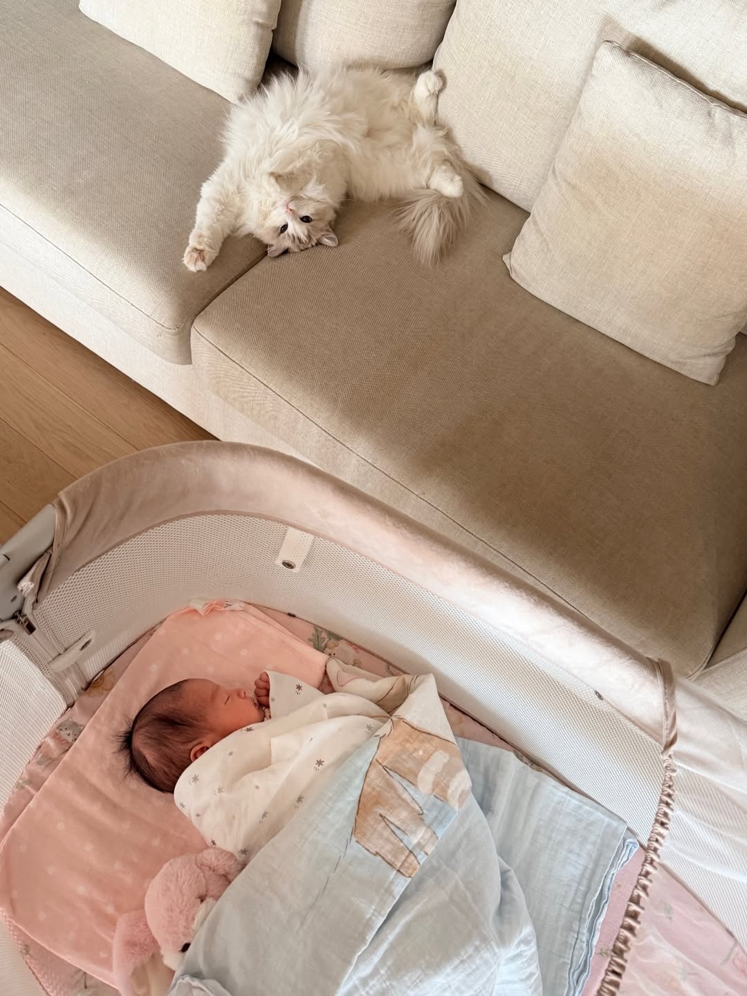 ปาย - สิตางศุ์ ปุณภพ