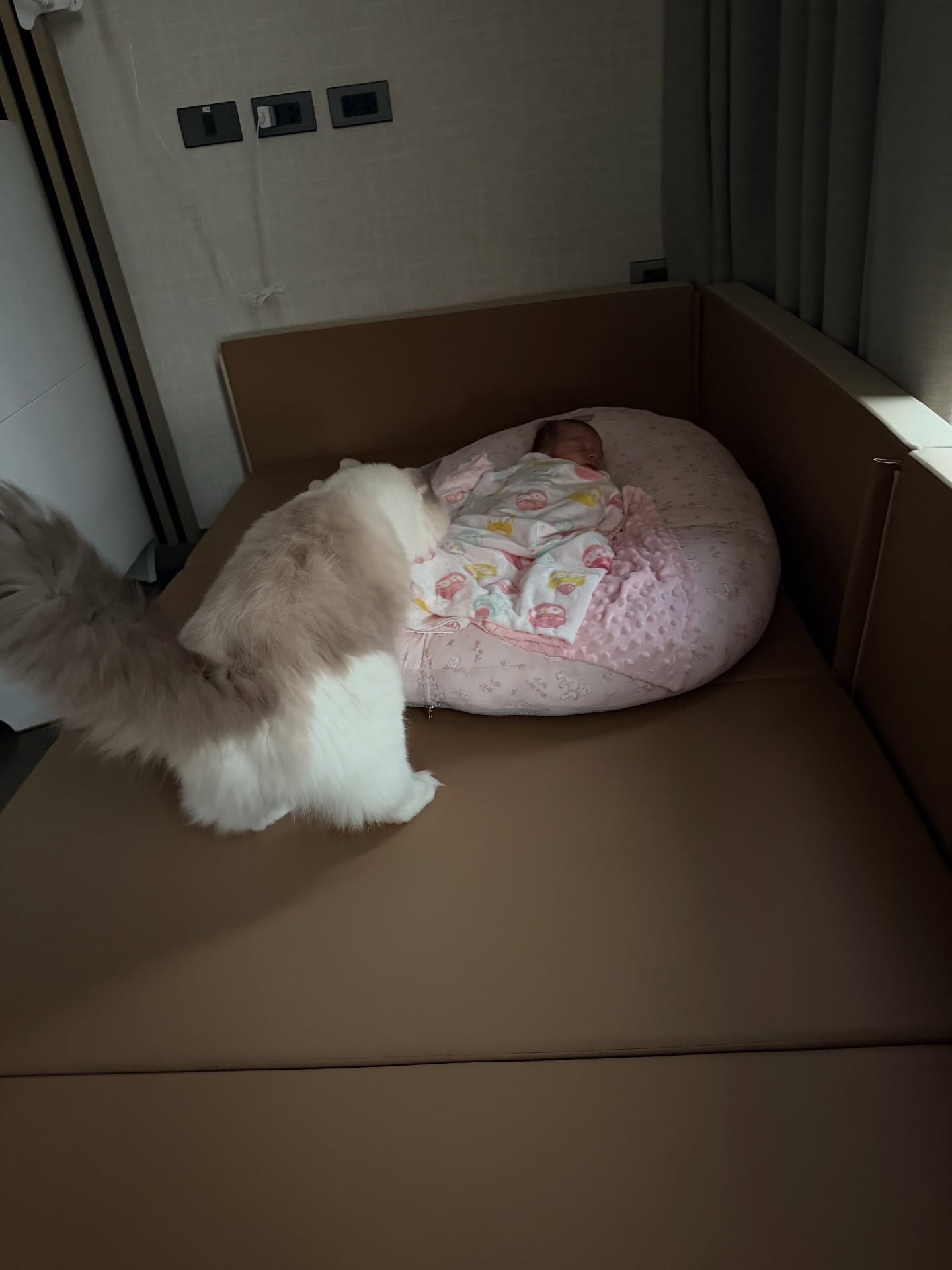 ปาย - สิตางศุ์ ปุณภพ