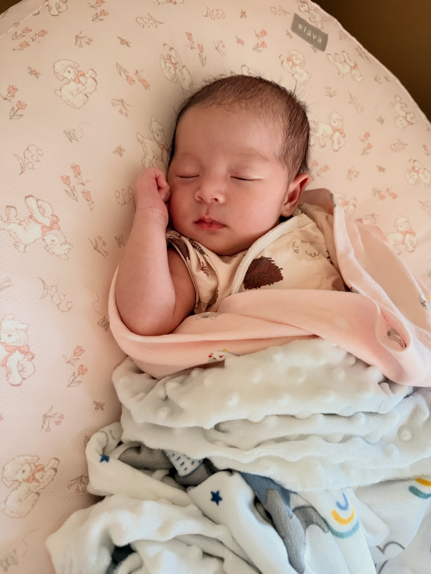 ปาย - สิตางศุ์ ปุณภพ