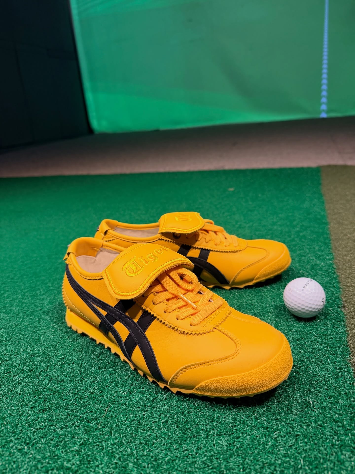 ปาย - สิตางศุ์ ปุณภพ