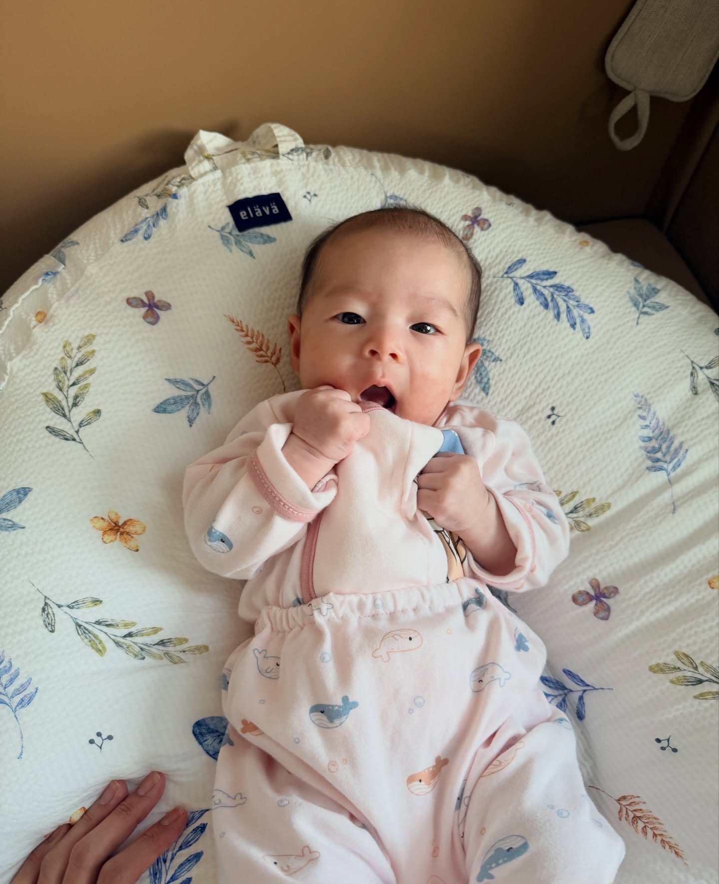 ปาย - สิตางศุ์ ปุณภพ