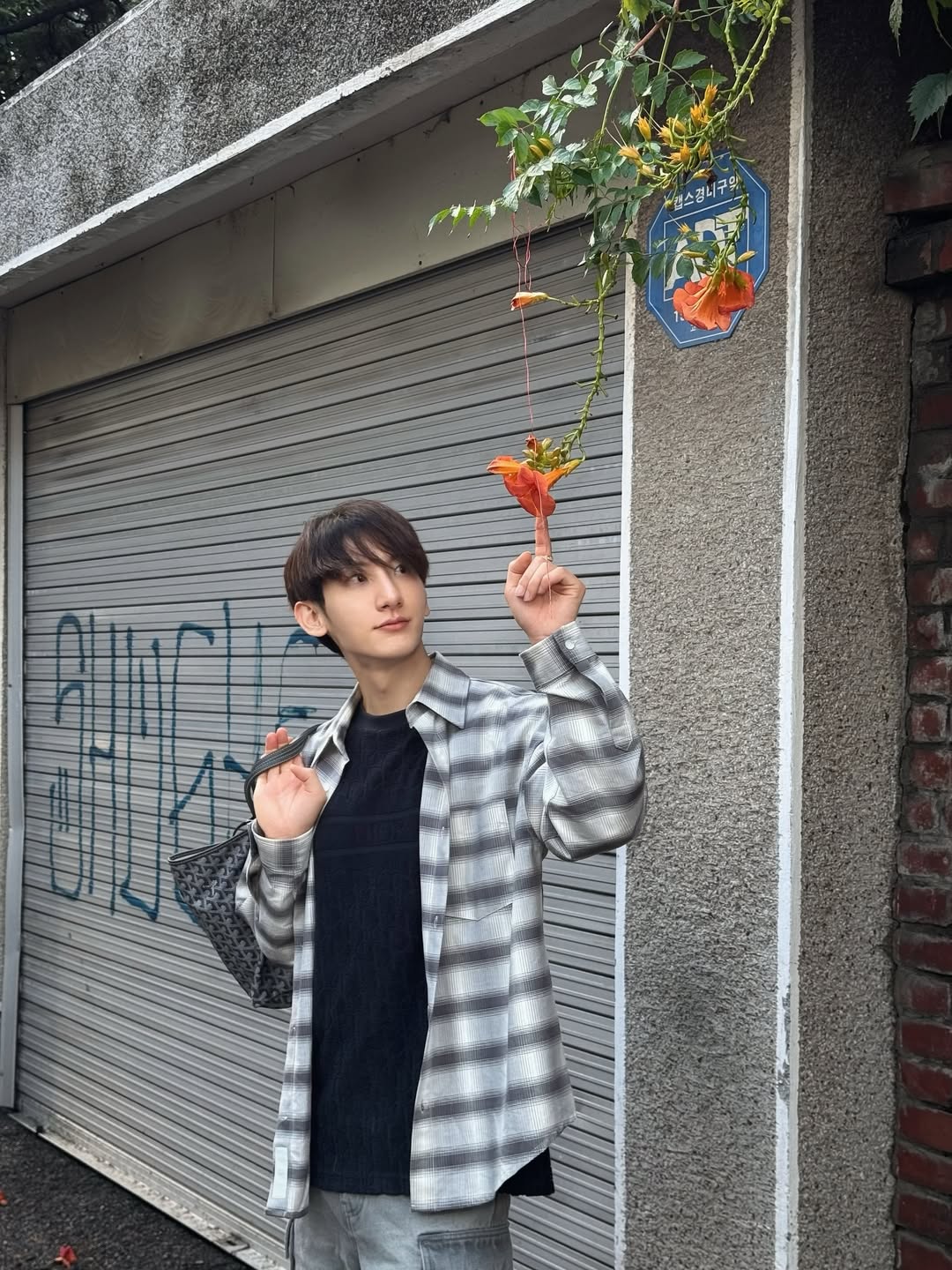 ท็อปแท็ป - จิรกิตติ์ คูอาริยะกุล