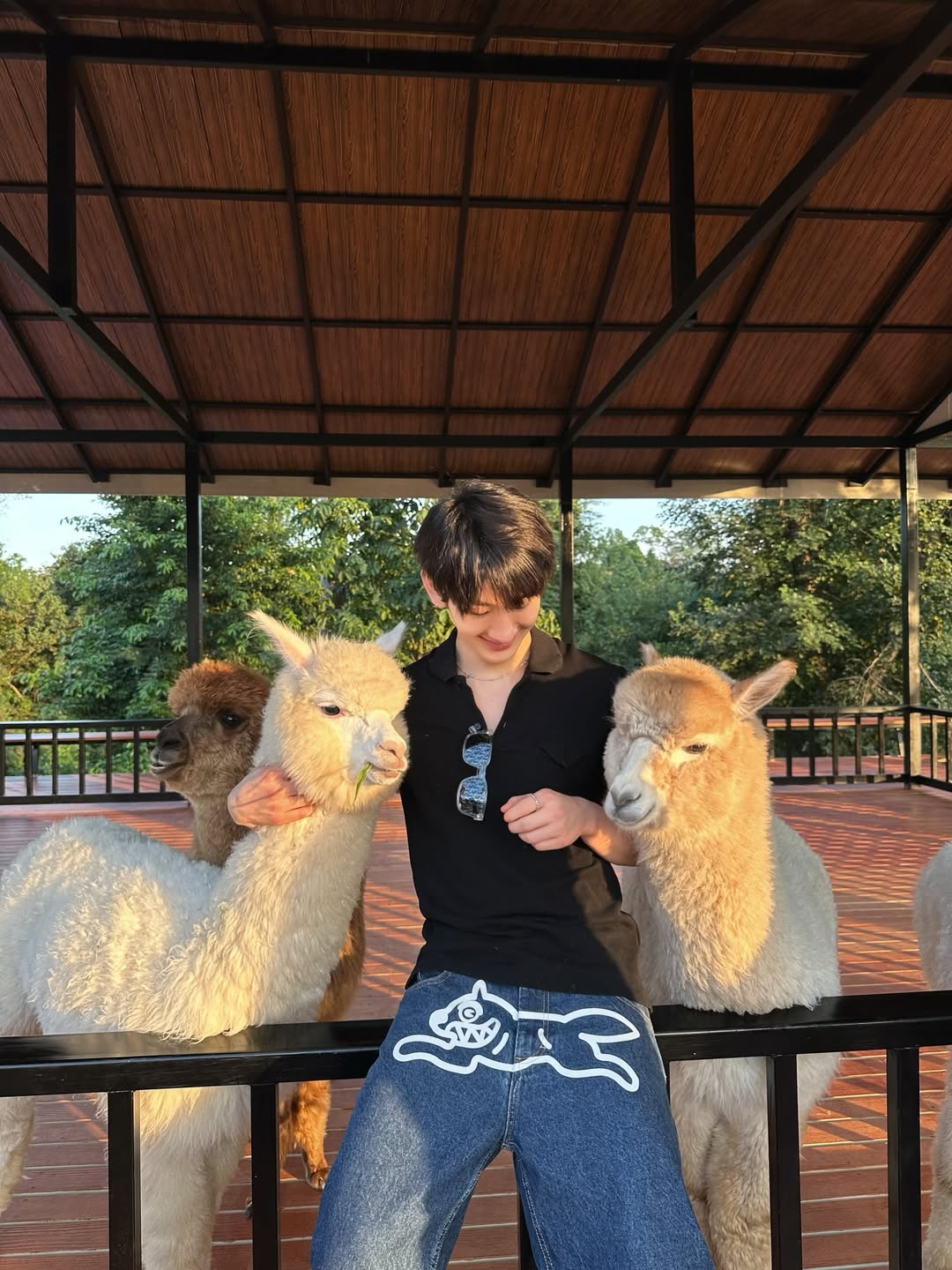 ท็อปแท็ป - จิรกิตติ์ คูอาริยะกุล