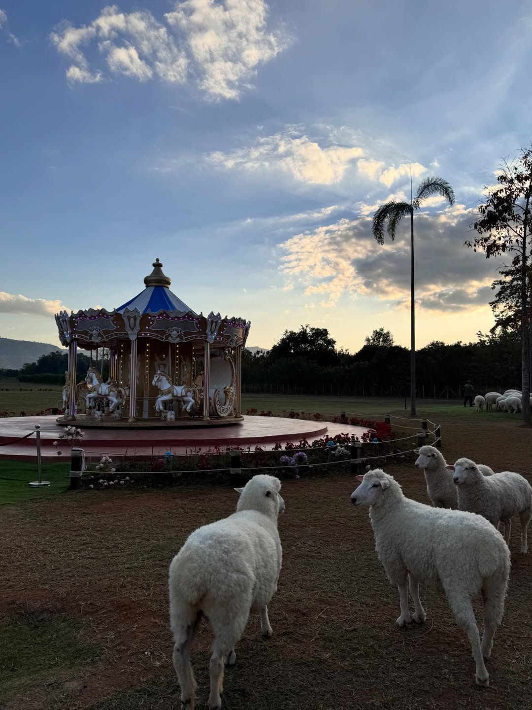 ท็อปแท็ป - จิรกิตติ์ คูอาริยะกุล