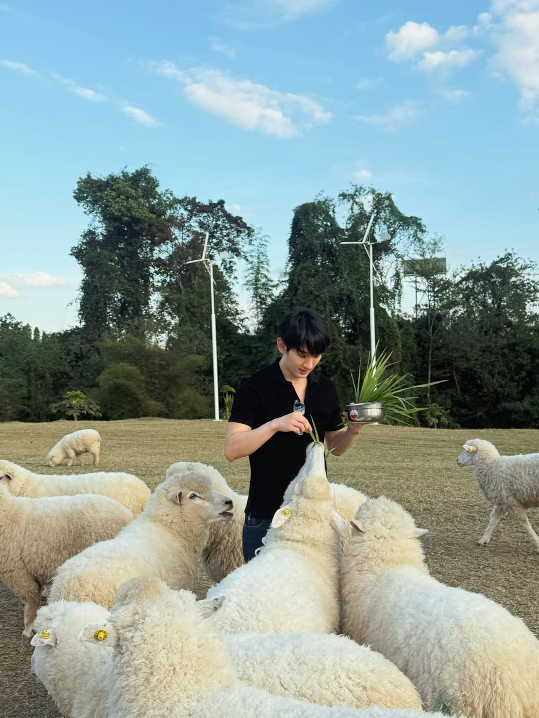 ท็อปแท็ป - จิรกิตติ์ คูอาริยะกุล