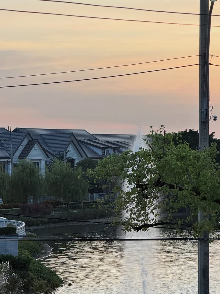 วี - วิโอเลต วอเทียร์