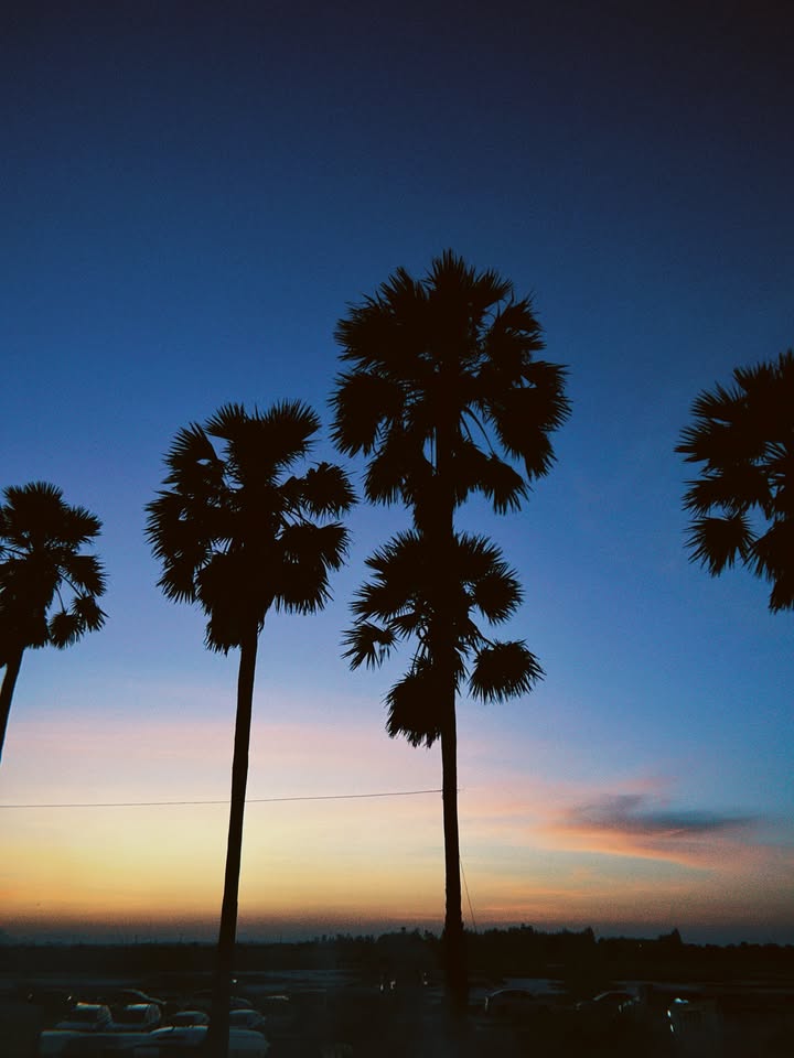 วี - วิโอเลต วอเทียร์