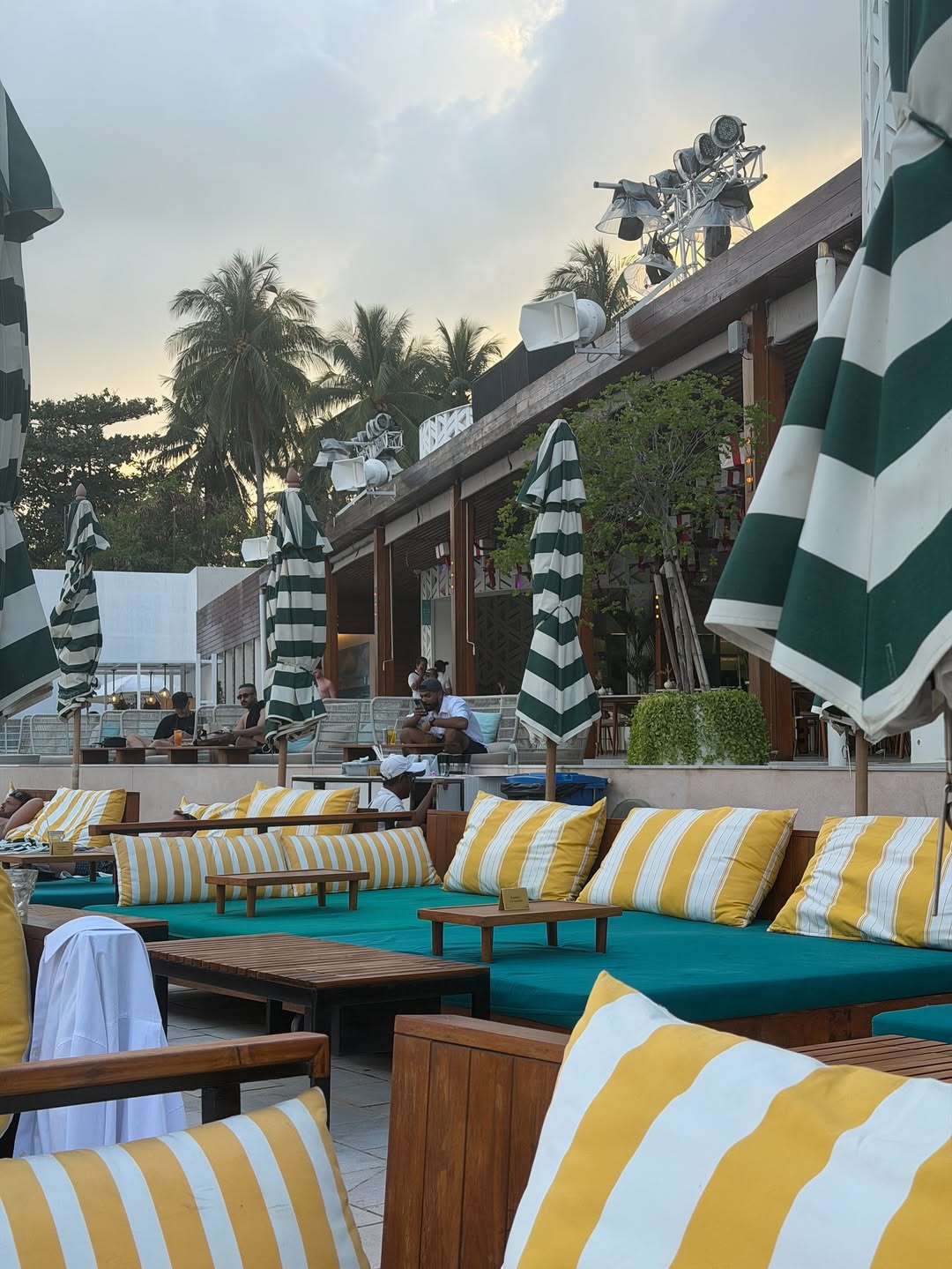 วี - วิโอเลต วอเทียร์