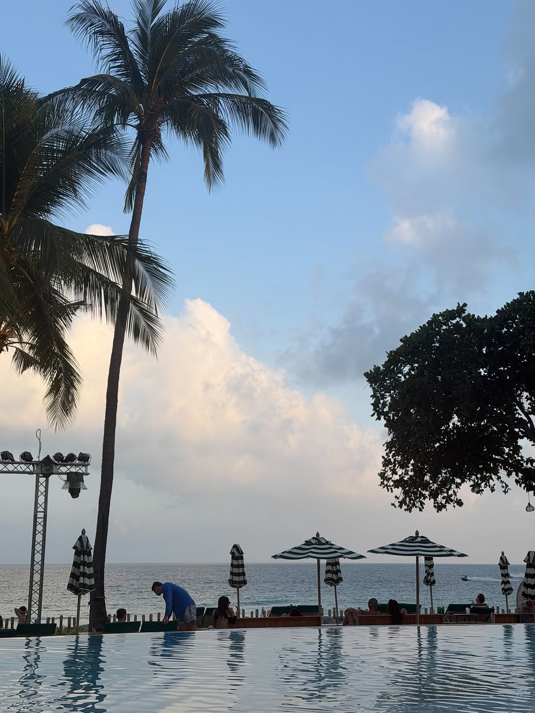 วี - วิโอเลต วอเทียร์