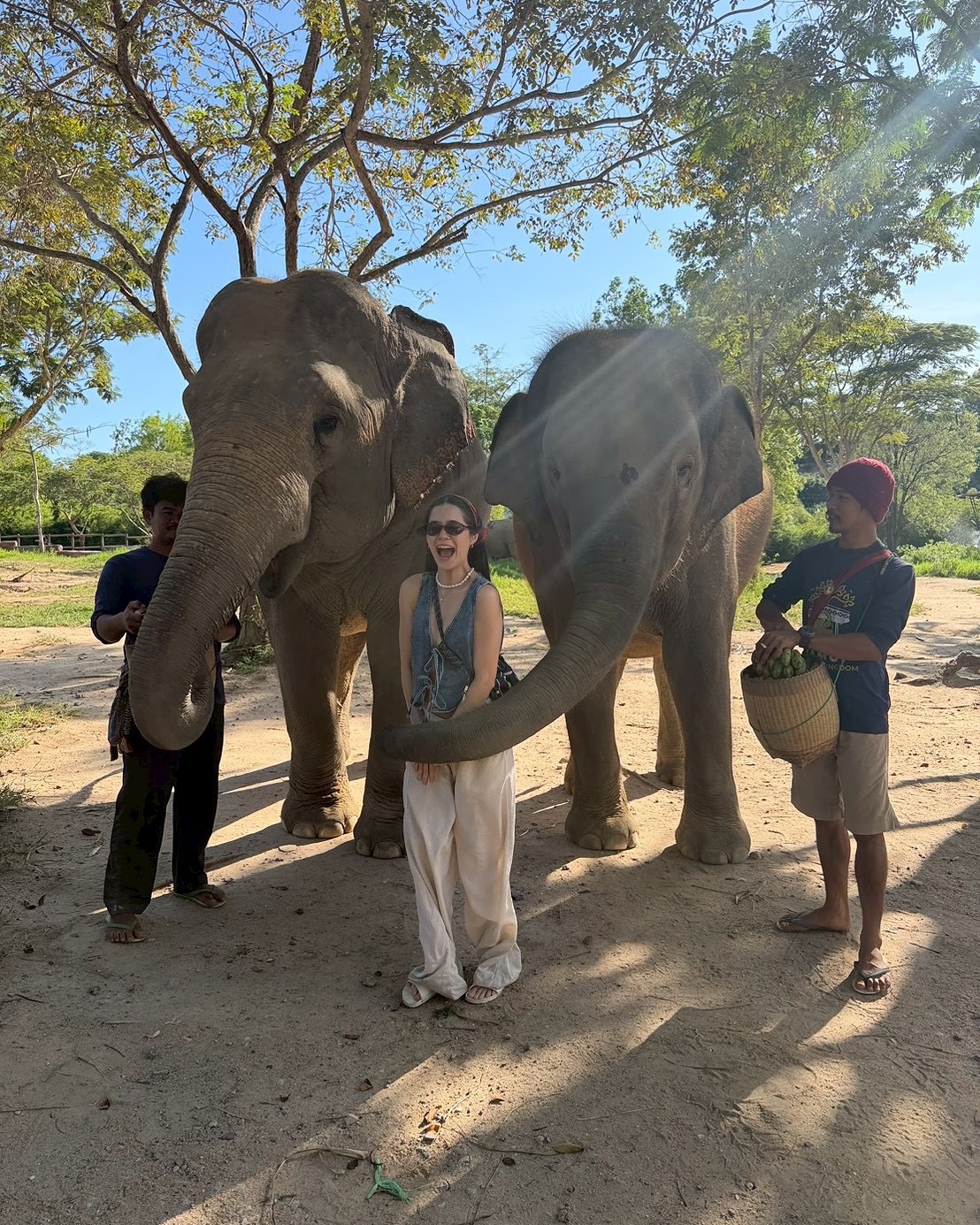 วี - วิโอเลต วอเทียร์