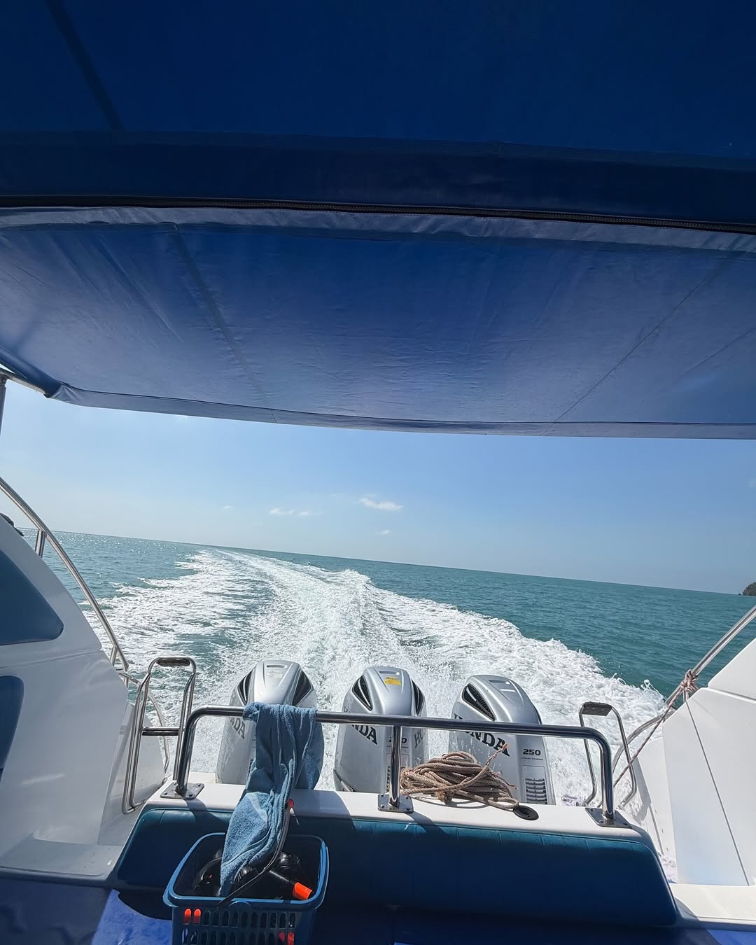 วี - วิโอเลต วอเทียร์