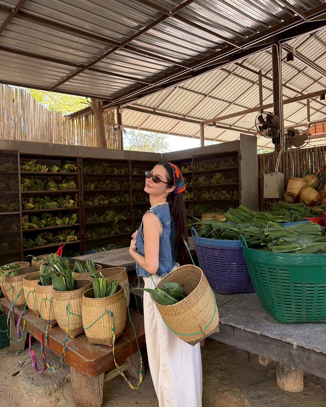 วี - วิโอเลต วอเทียร์