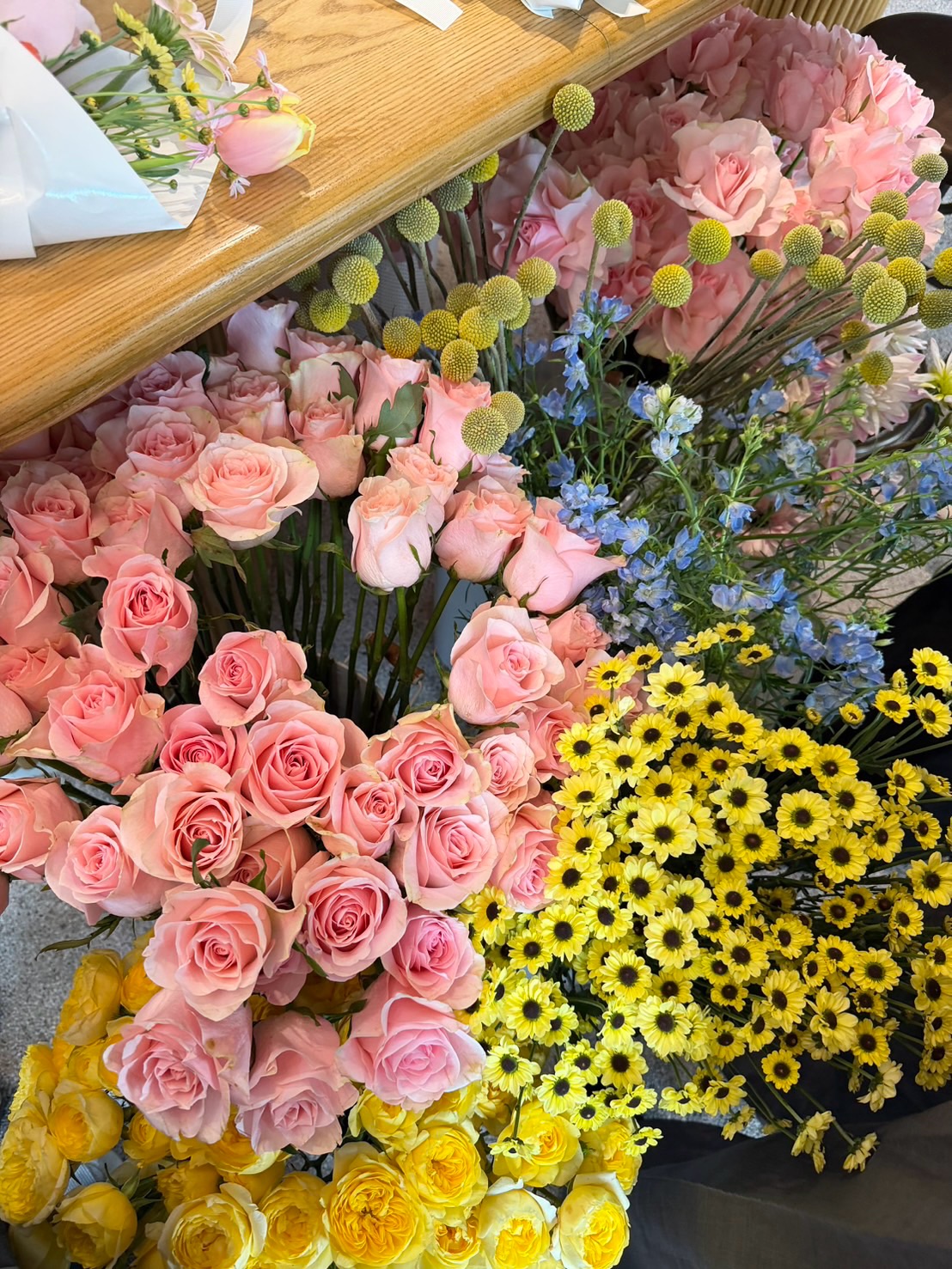 วี - วิโอเลต วอเทียร์